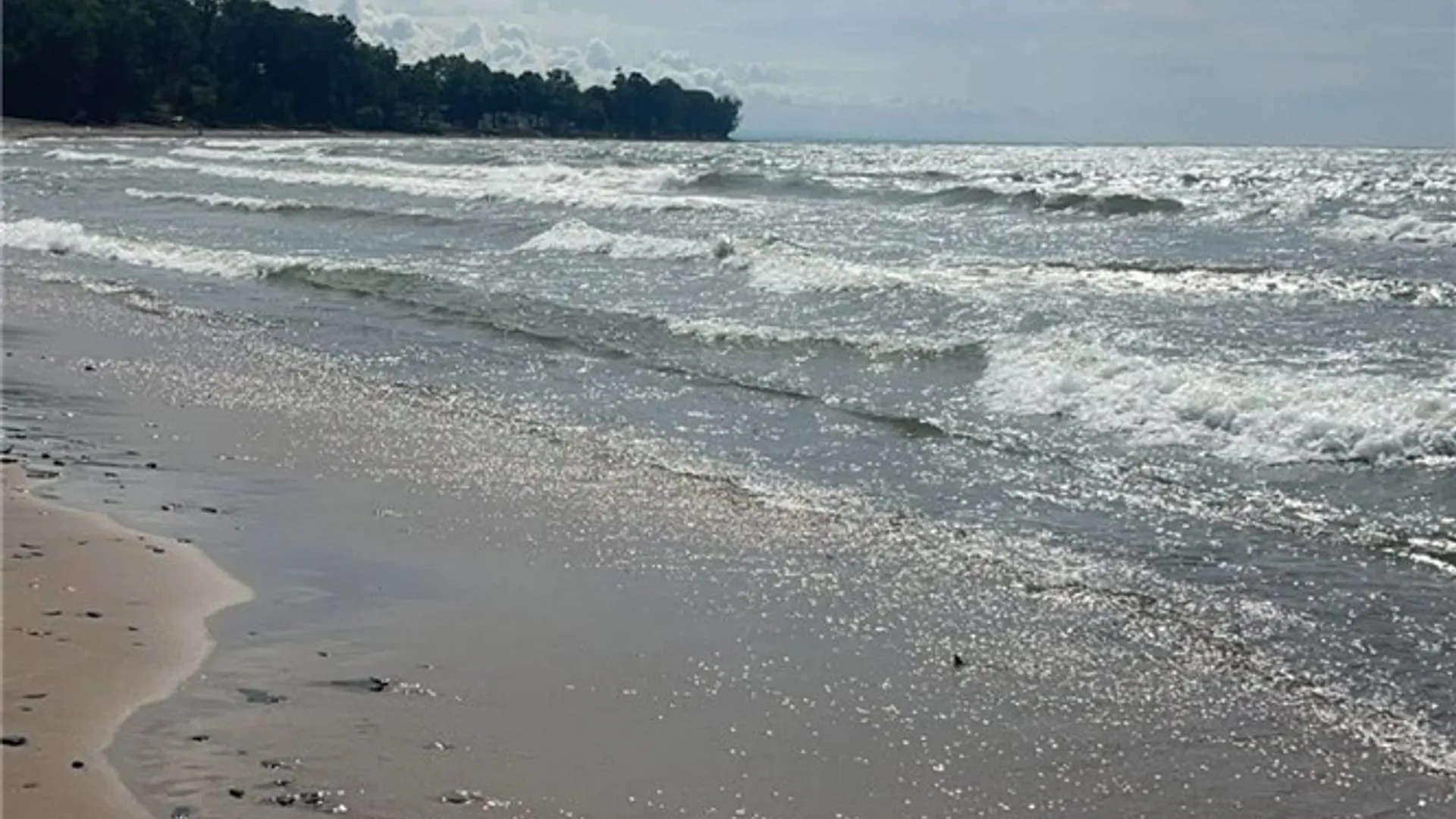 Property at 448 Alfred Avenue, Evans, NY 14006 30