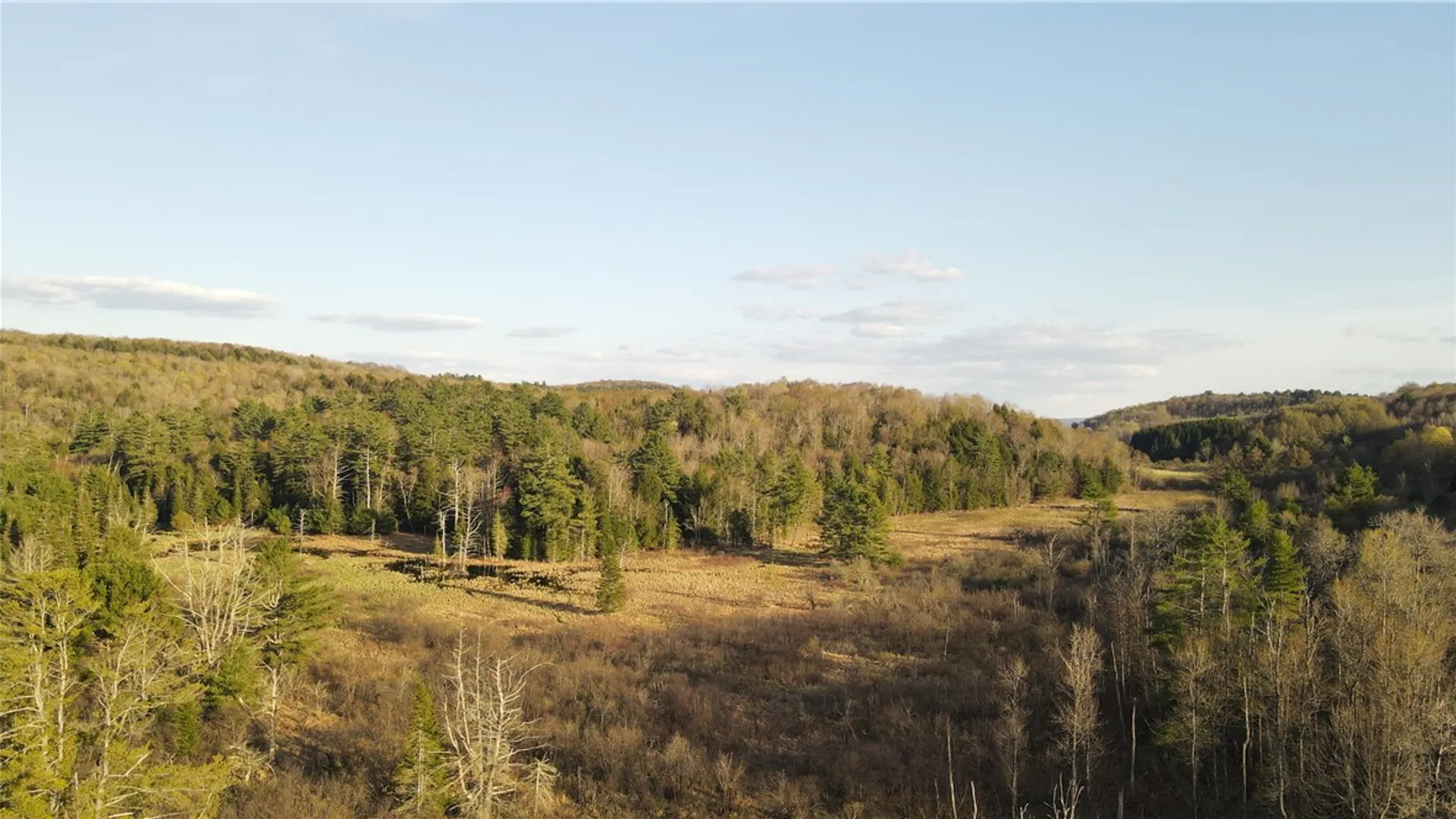 Property at Goddards Road, New Lisbon, NY 13315 10