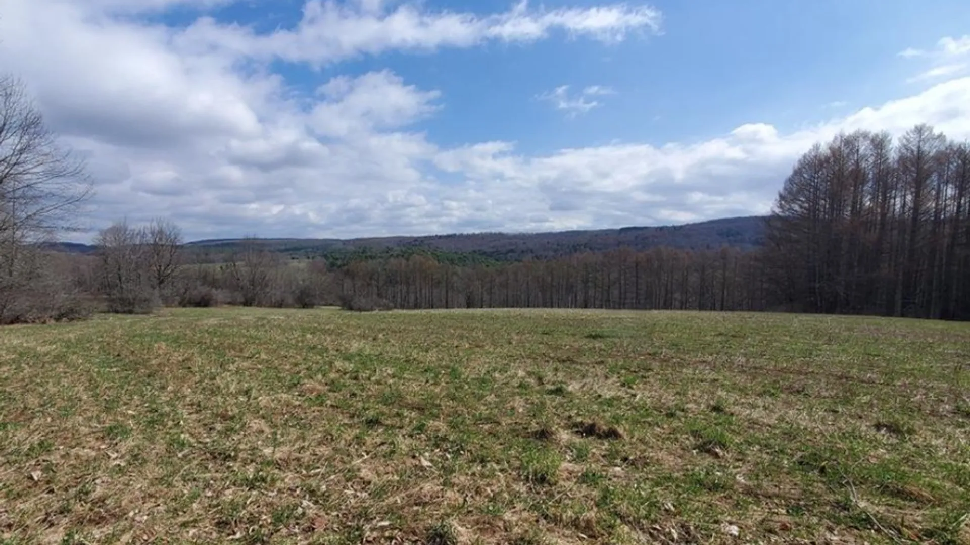 Property at Goddards Road, New Lisbon, NY 13315 11