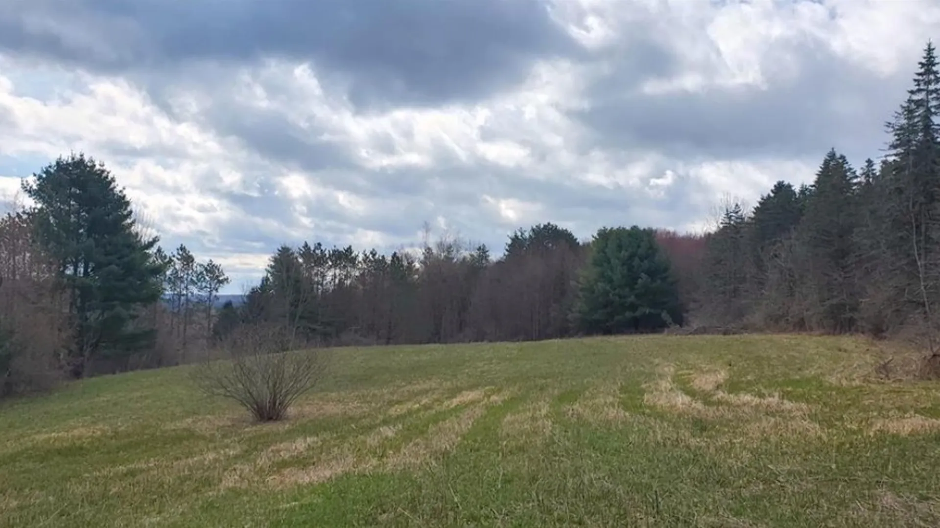 Property at Goddards Road, New Lisbon, NY 13315 3