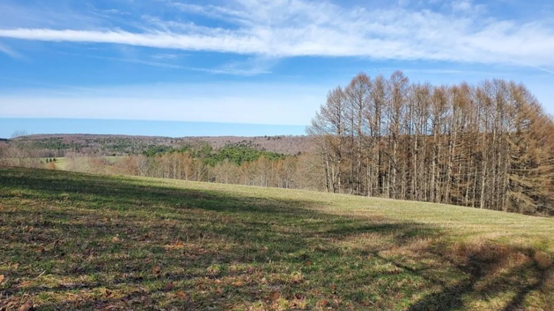 Property at Goddards Road, New Lisbon, NY 13315 4