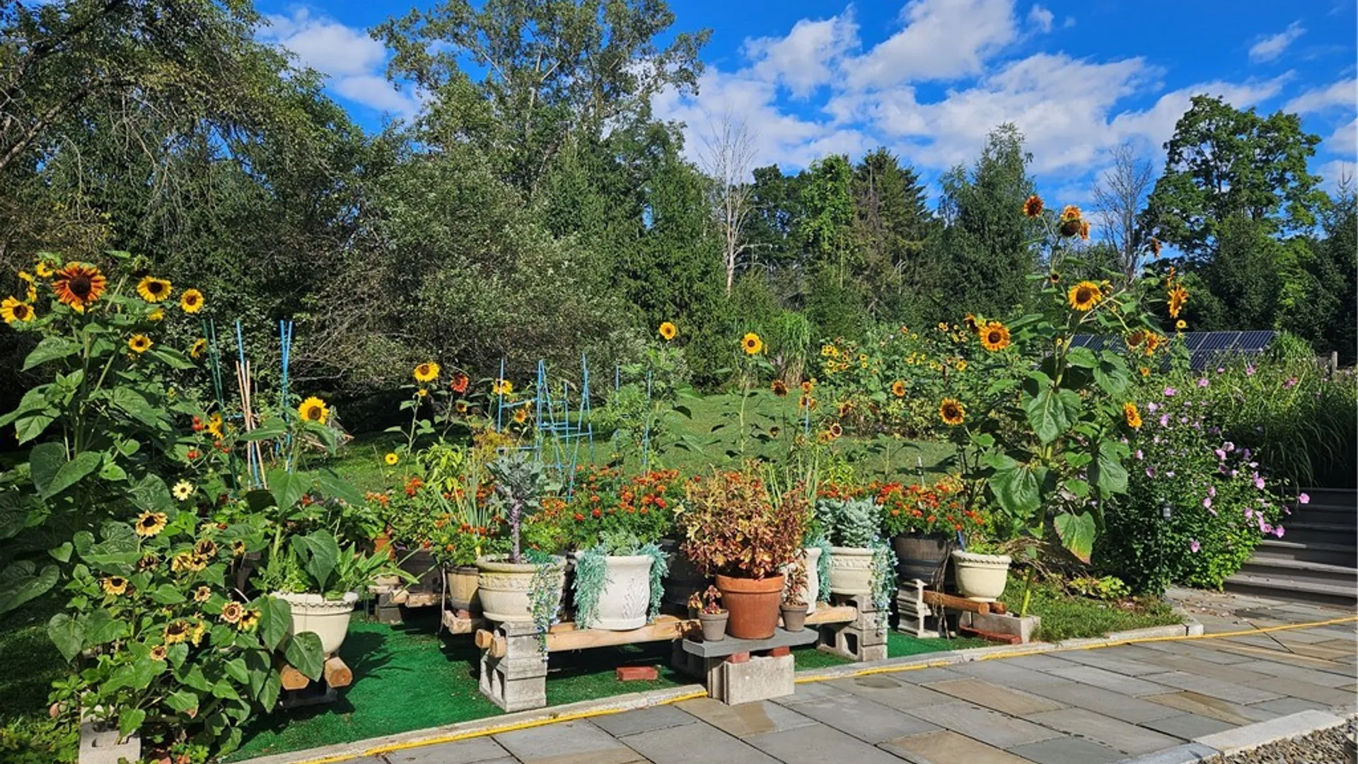 Property at 200 Westhaven Drive, Ithaca Town, NY 14850 44