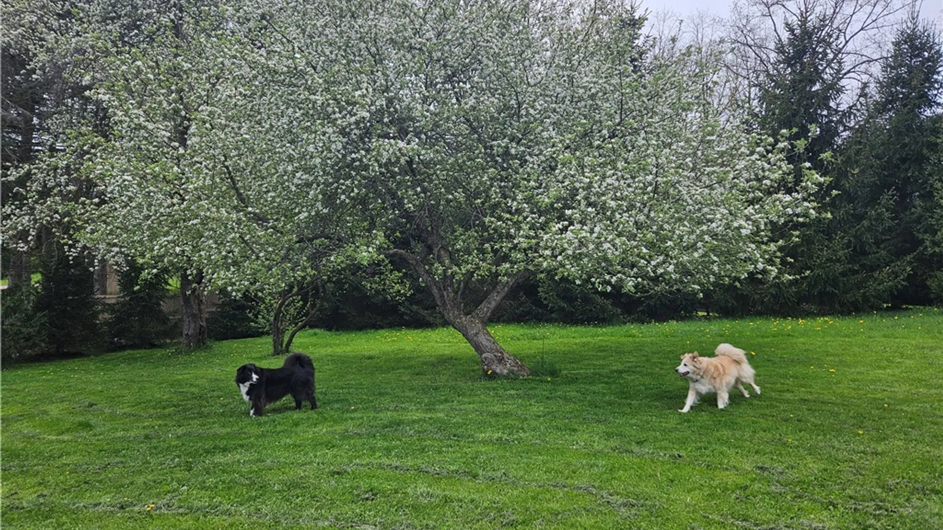 Property at 200 Westhaven Drive, Ithaca Town, NY 14850 45