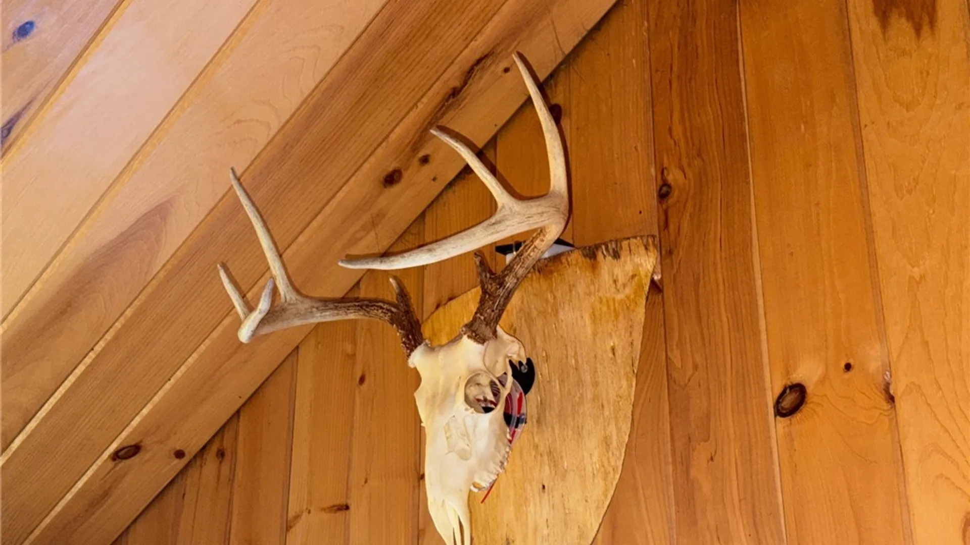 Property at County Highway 20, Edmeston, NY 13335 28