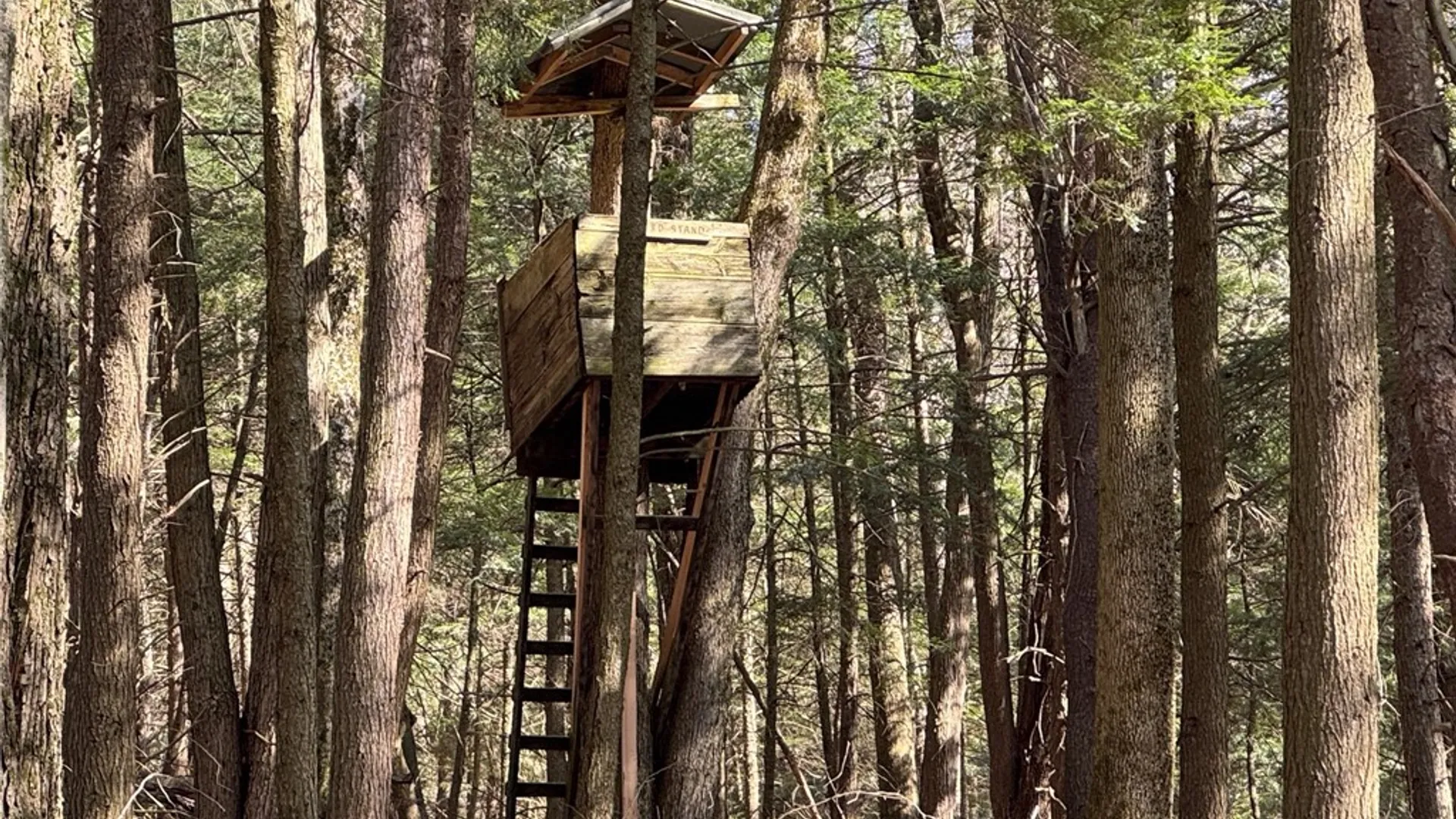 Property at County Highway 20, Edmeston, NY 13335 30