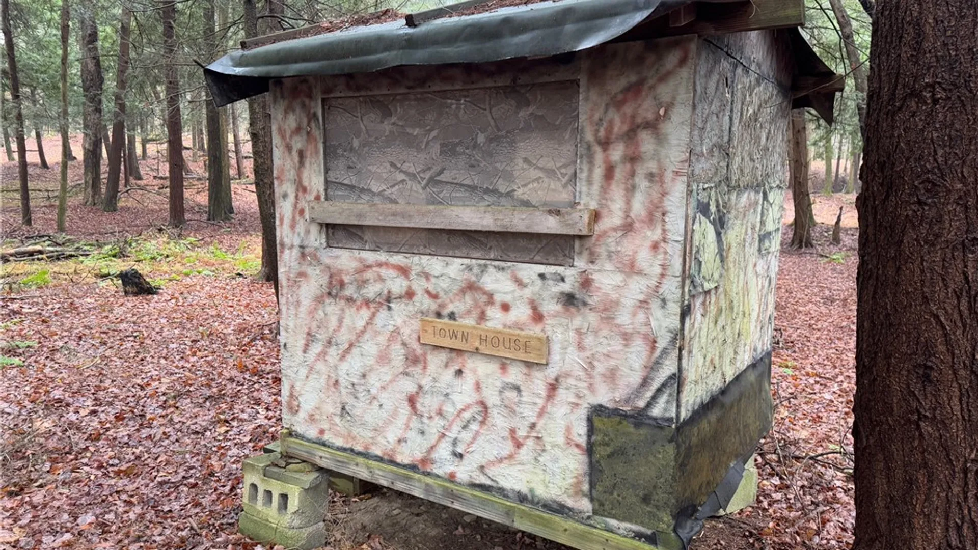 Property at County Highway 20, Edmeston, NY 13335 47