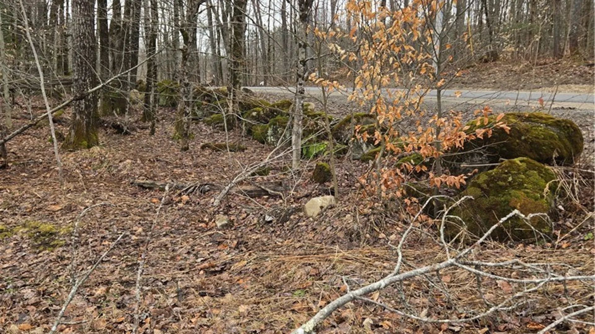 Property at 1290 Dairy Hill Road, Norway, NY 13416 3