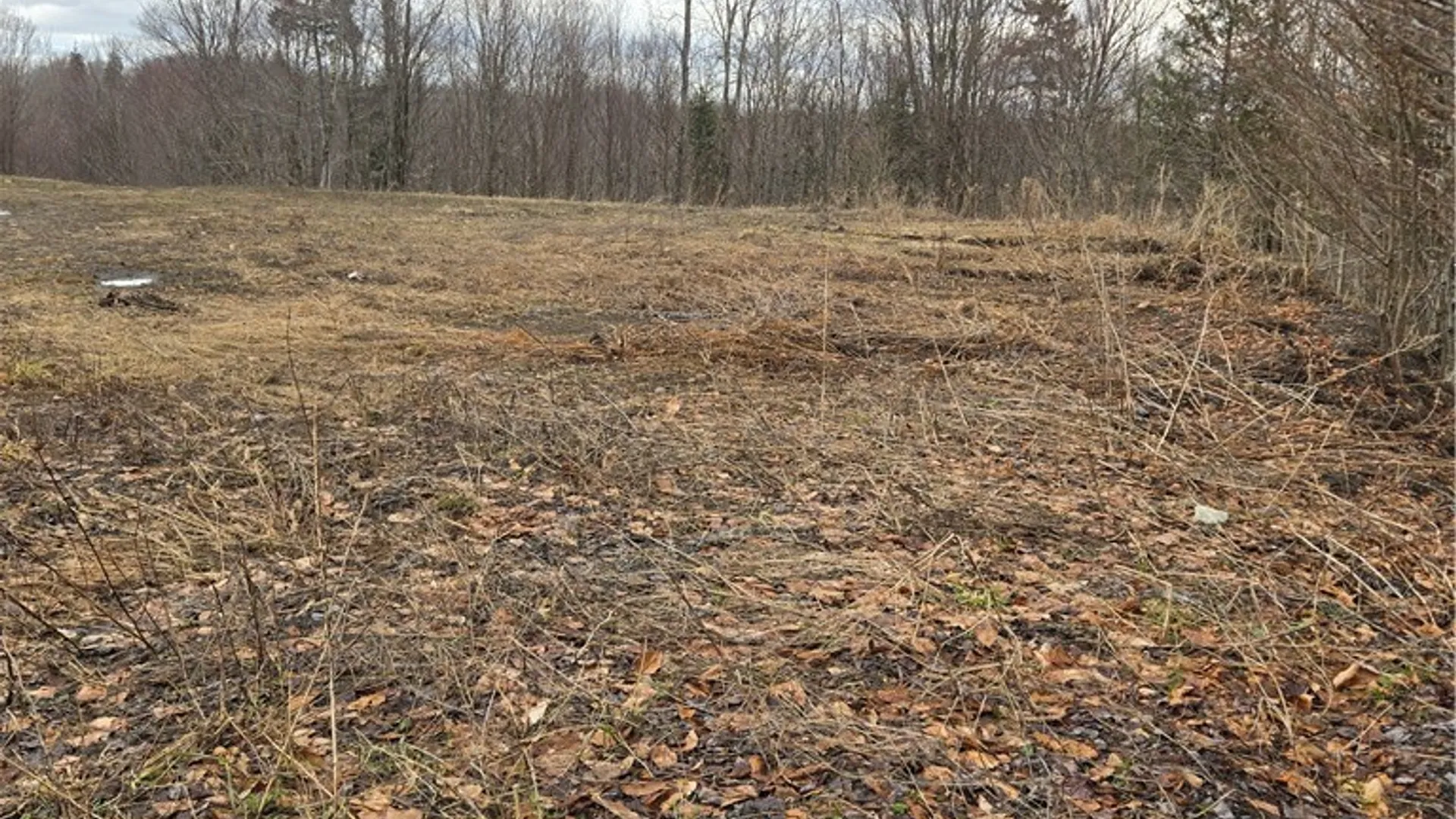 Property at 1290 Dairy Hill Road, Norway, NY 13416 5