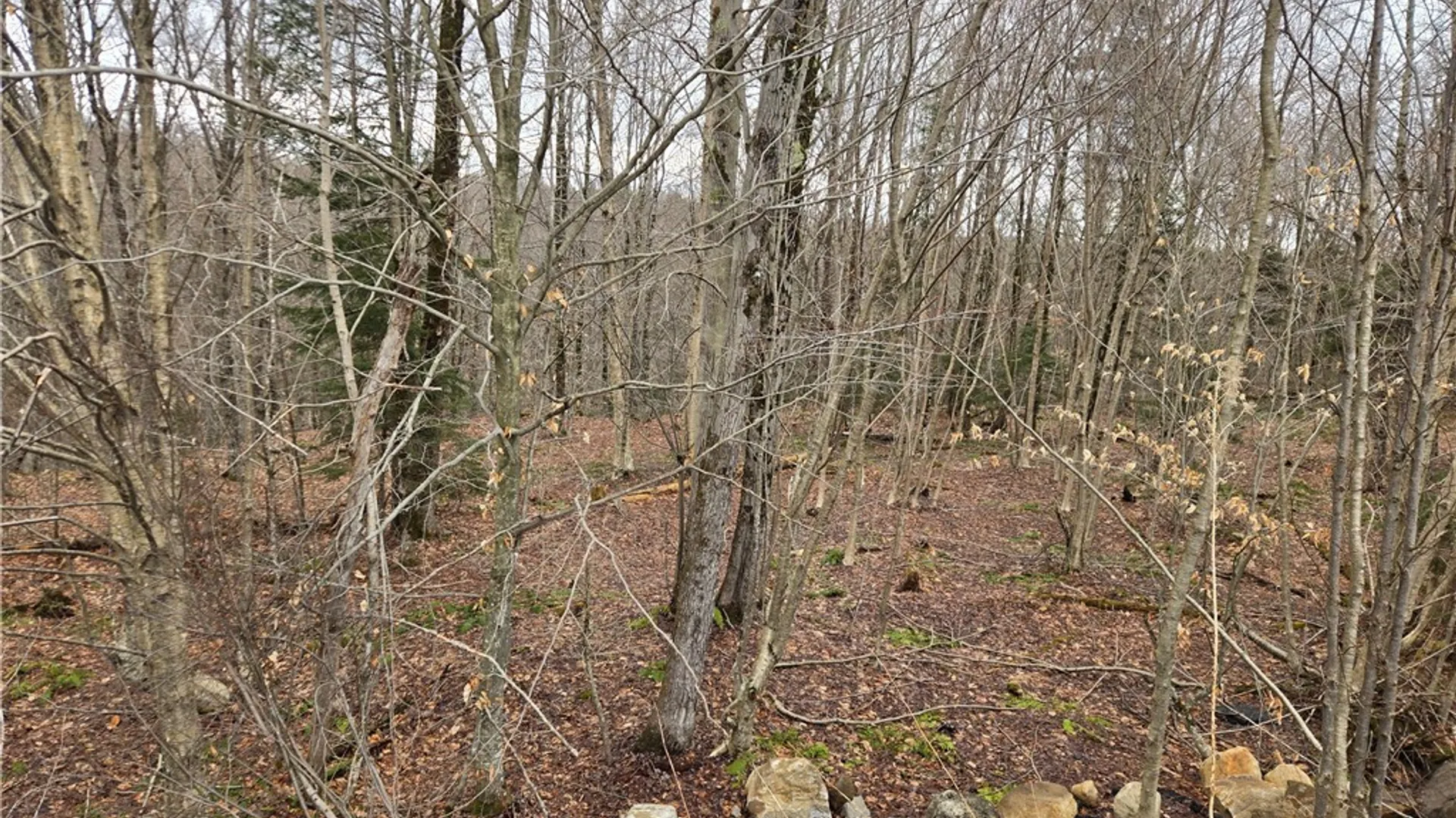 Property at 1290 Dairy Hill Road, Norway, NY 13416 8