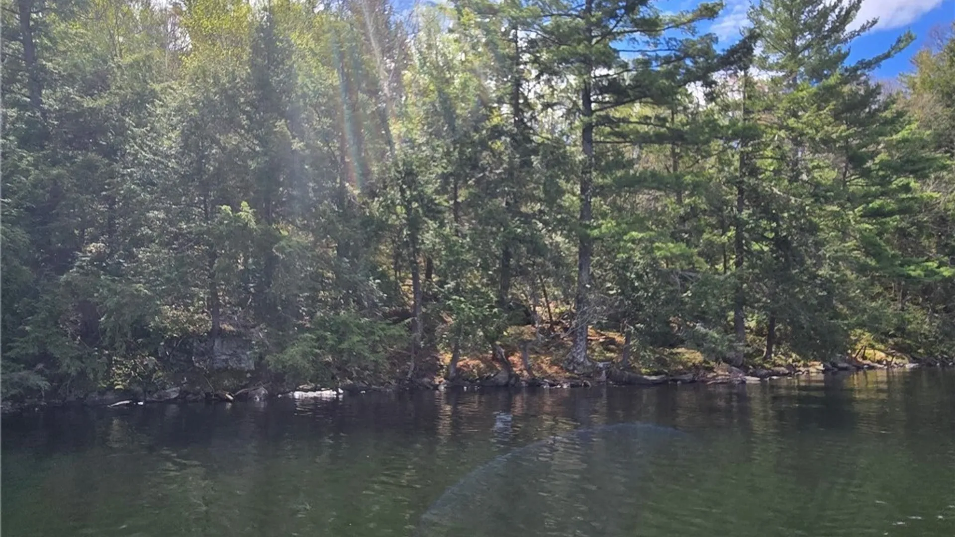 Property at Sweet Point Rd, Alexandria, NY 13607 10