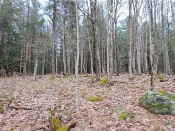 Sweet Point Rd, Alexandria, NY 13607