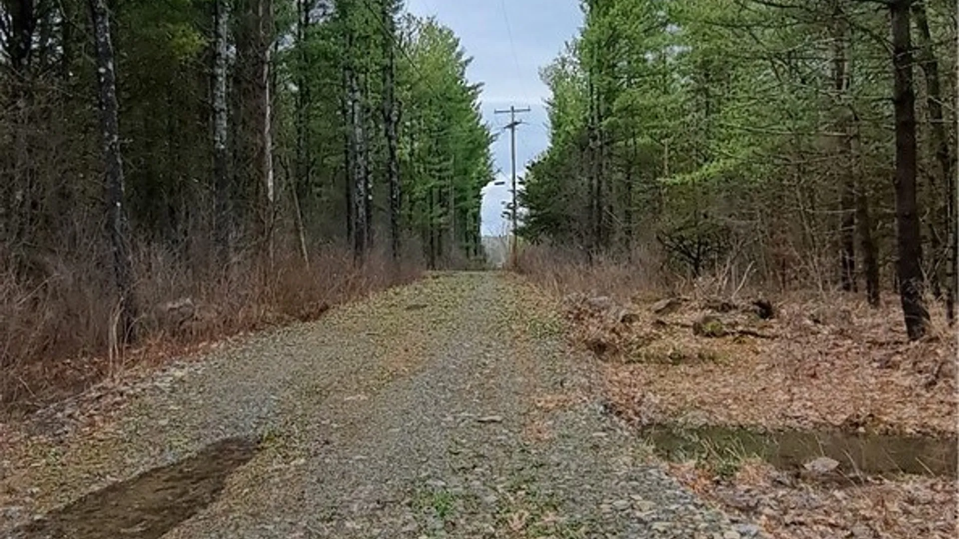 Property at Sweet Point Rd, Alexandria, NY 13607 3