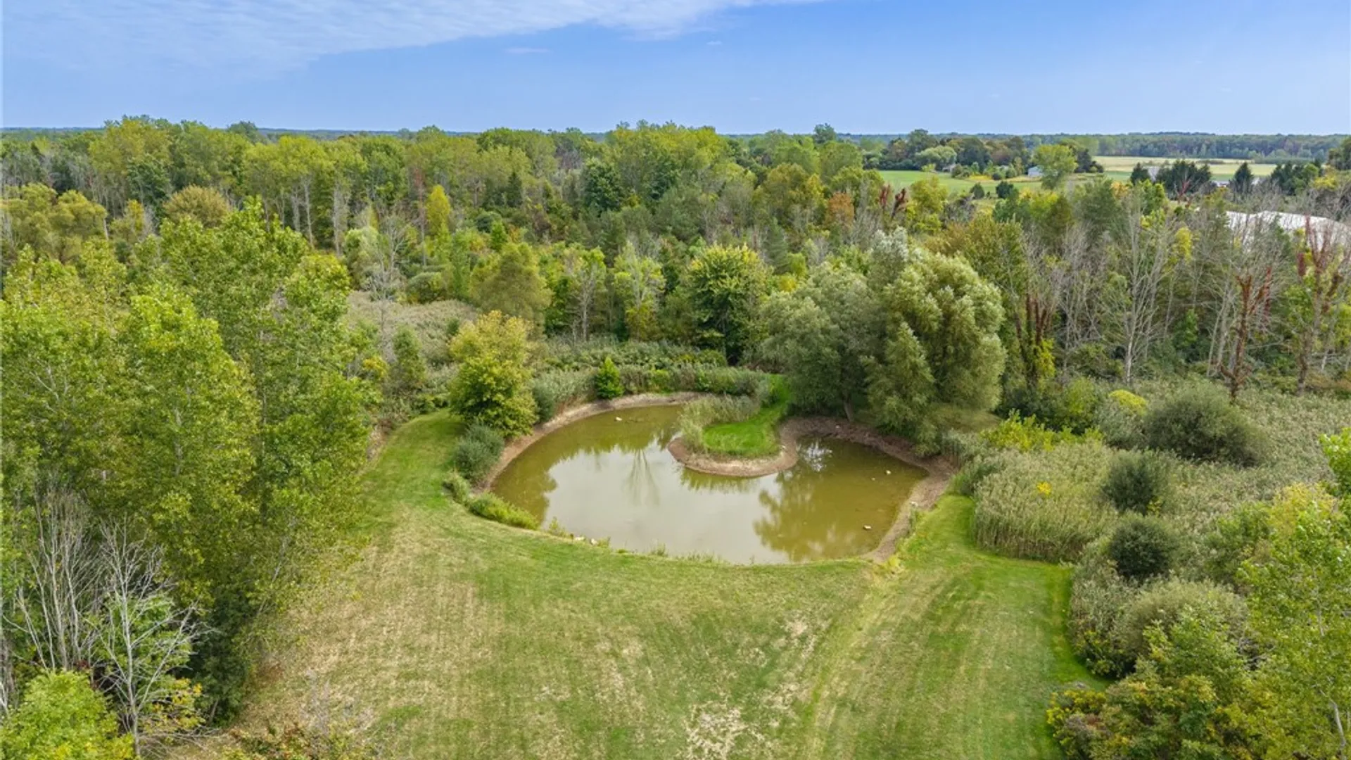 Property at 5393 Holley Byron Road, Clarendon, NY 14470 6