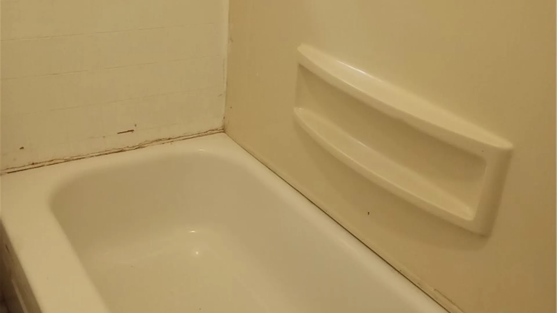 Property at 301 Brand Street, Elmira City, NY 14904 13