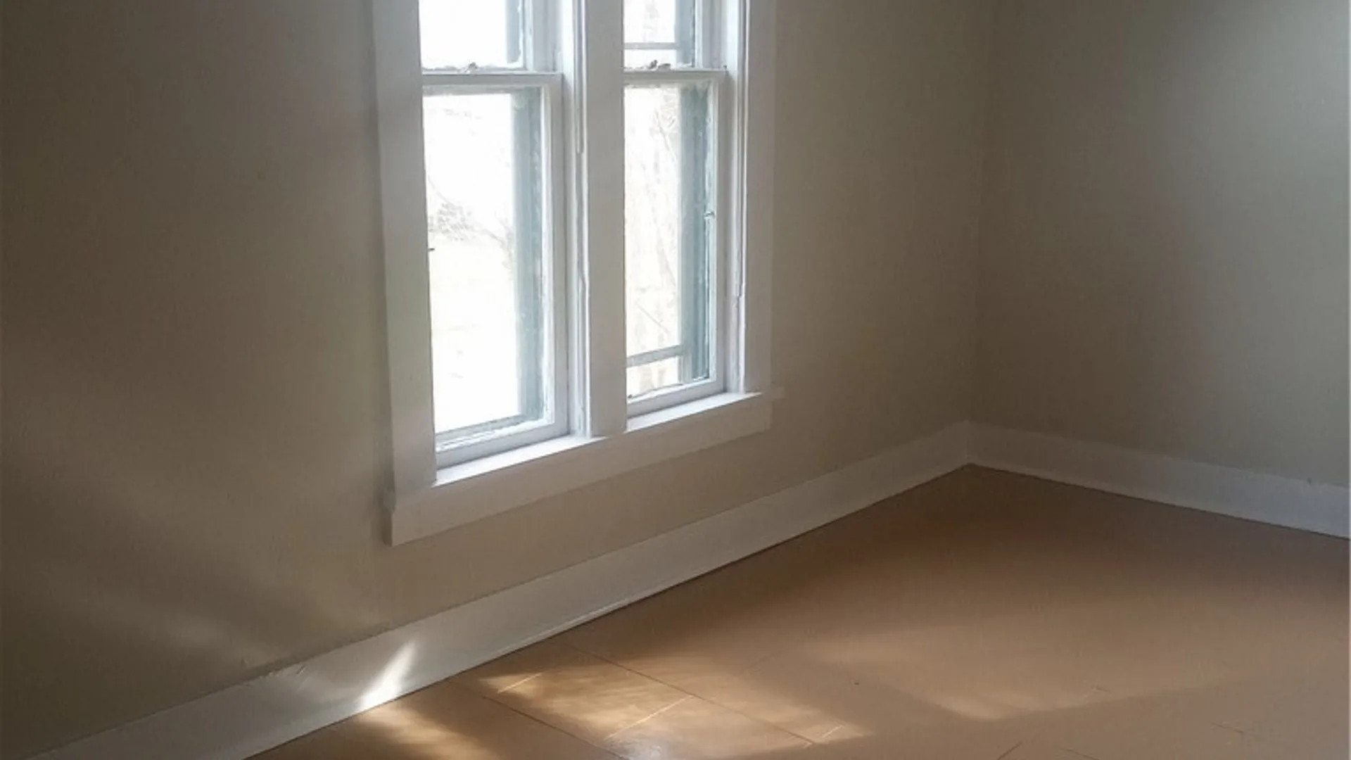 Property at 301 Brand Street, Elmira City, NY 14904 34