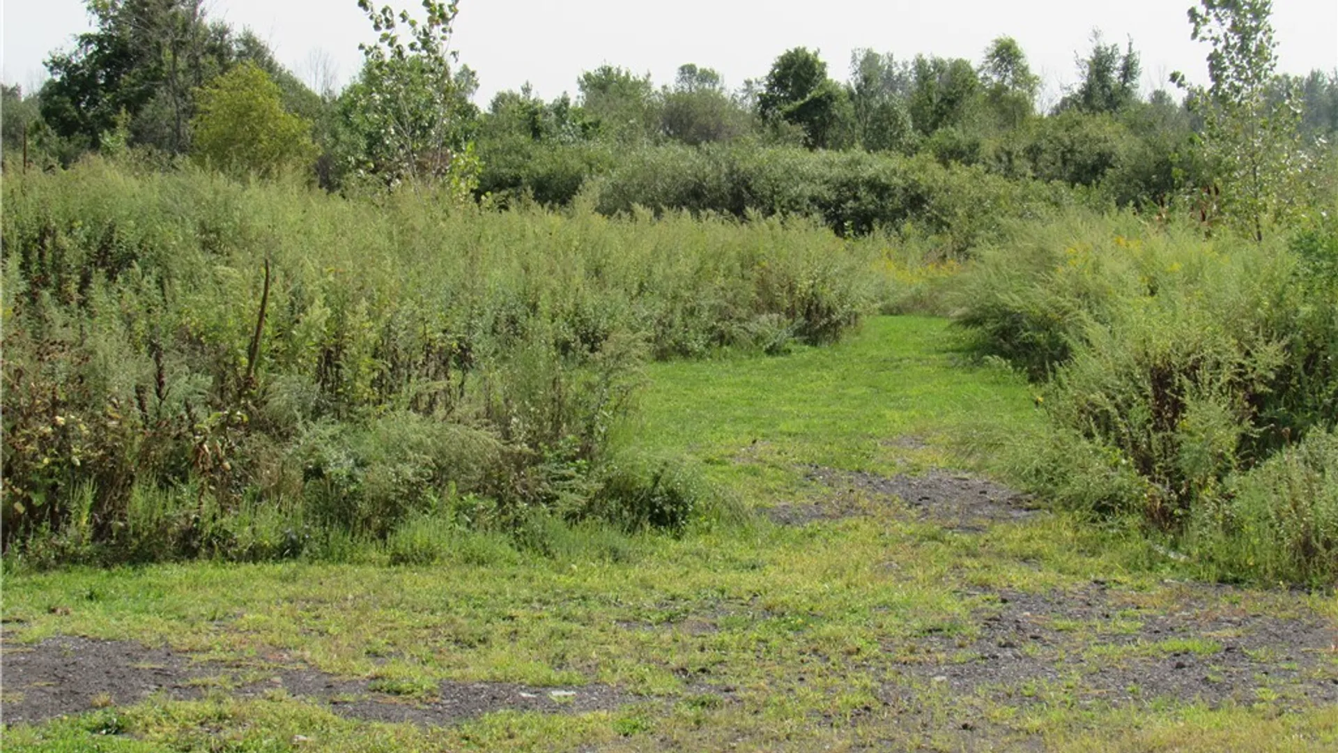 Property at 6282 Lamphear Road, Rome, NY 13440 10