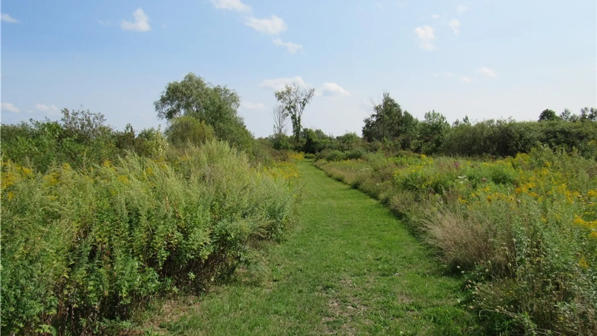 Property at 6282 Lamphear Road, Rome, NY 13440 12