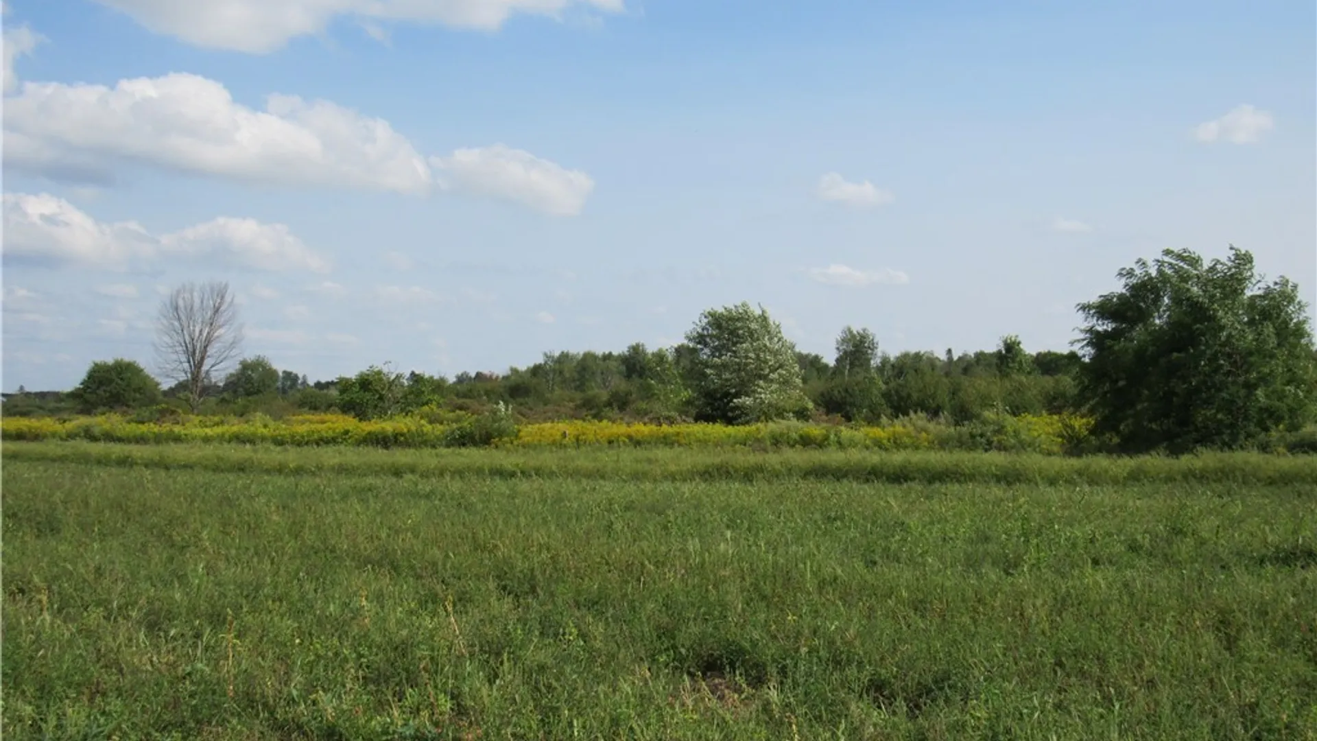 Property at 6282 Lamphear Road, Rome, NY 13440 26