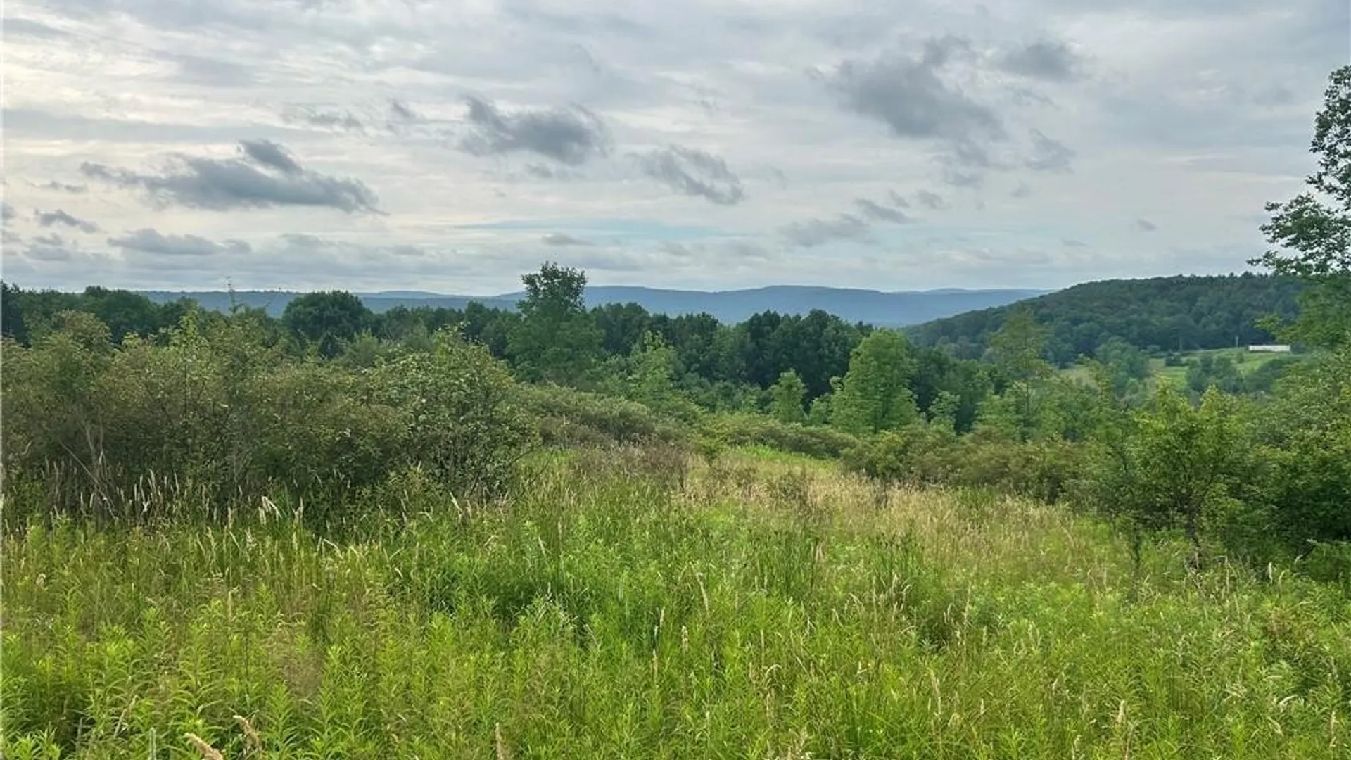 Property at Lot 11 Sisson Hill Road, Unadilla, NY 13849 2