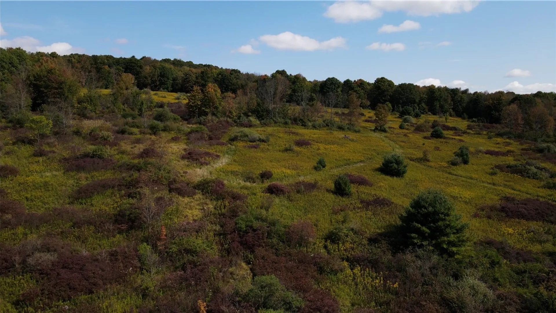 Property at Lot 11 Sisson Hill Road, Unadilla, NY 13849 4