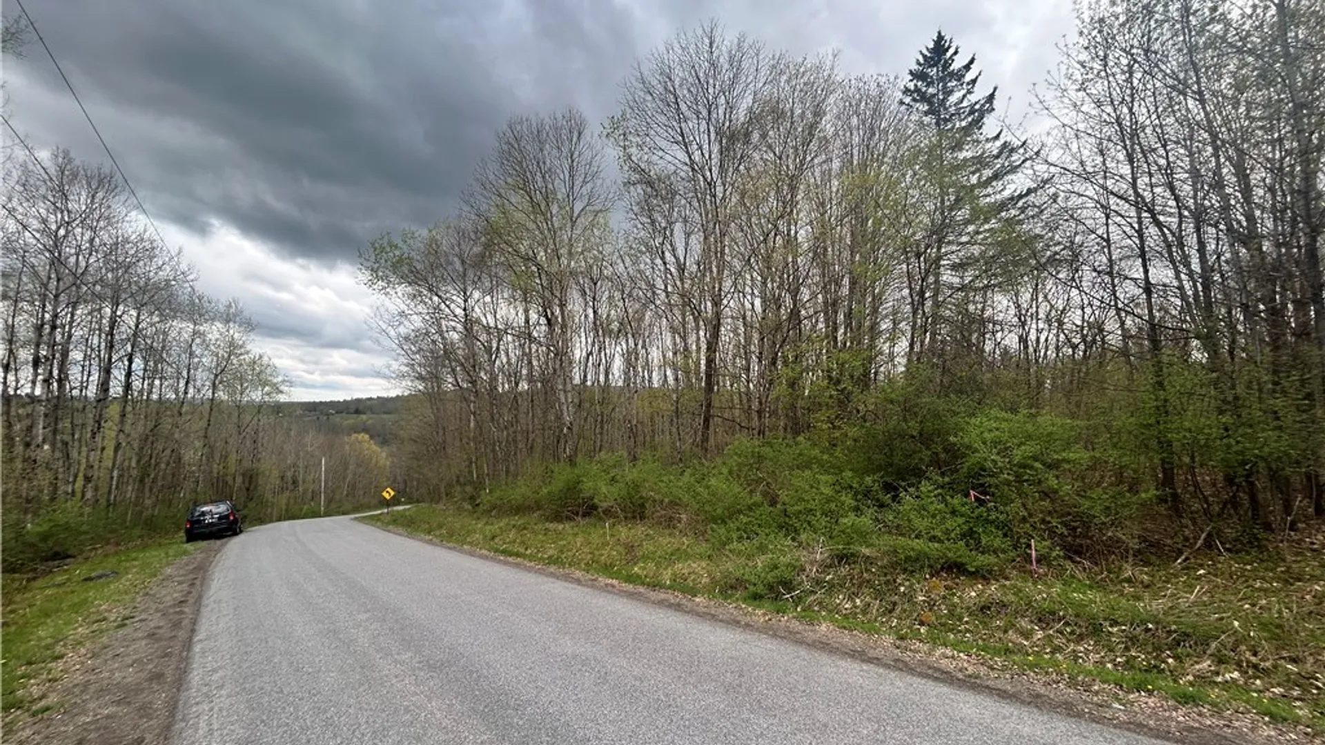 Property at Lot 11 Sisson Hill Road, Unadilla, NY 13849 5