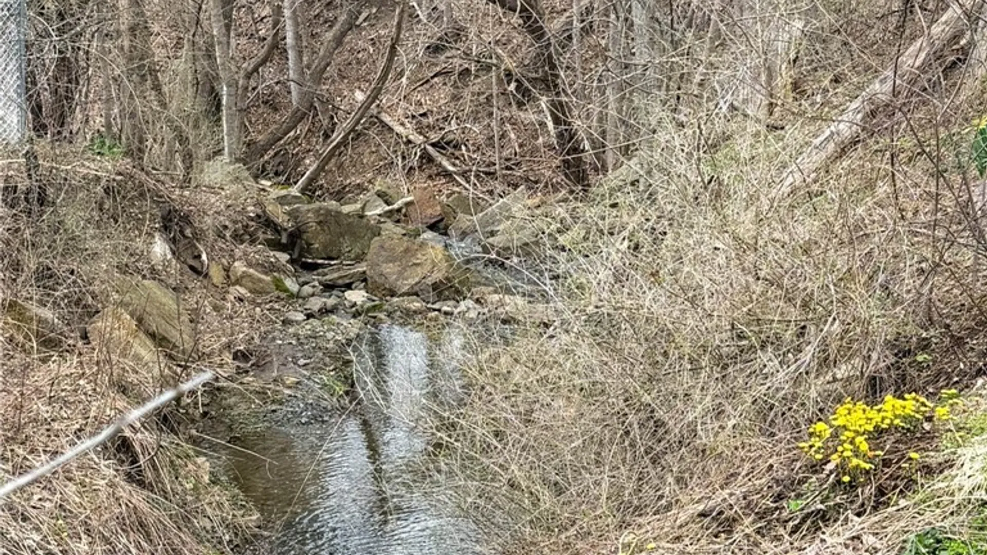 Property at 2955 Graffenburg Road, New Hartford, NY 13413 40