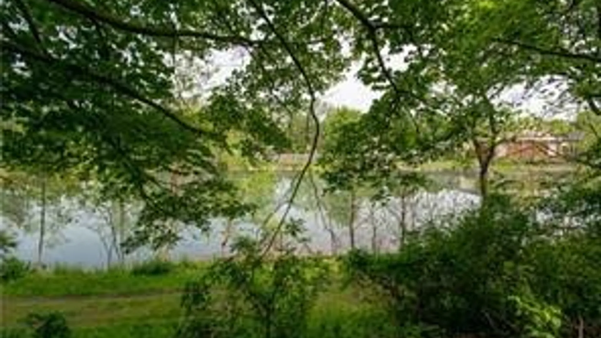 Property at 84 Bayard St, Seneca Falls, NY 13148 6