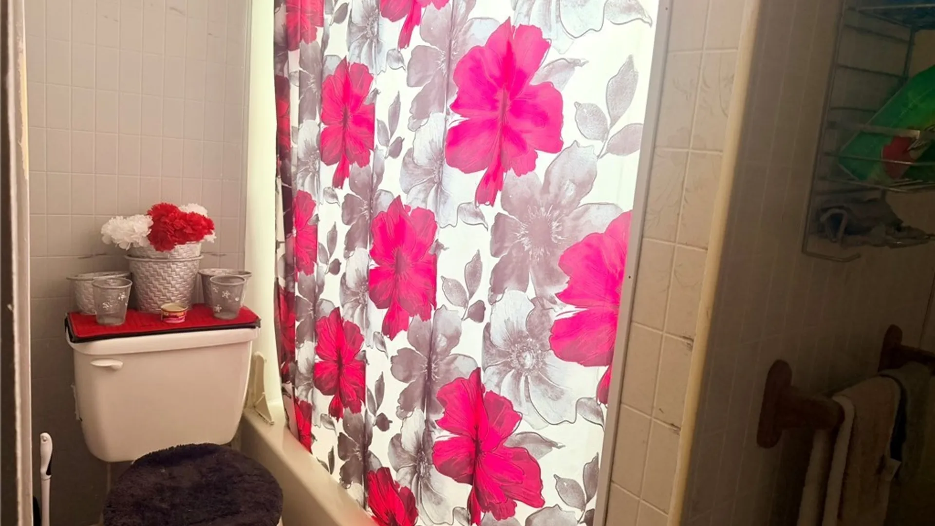 Property at 219 Stevens Avenue, Buffalo, NY 14215 10