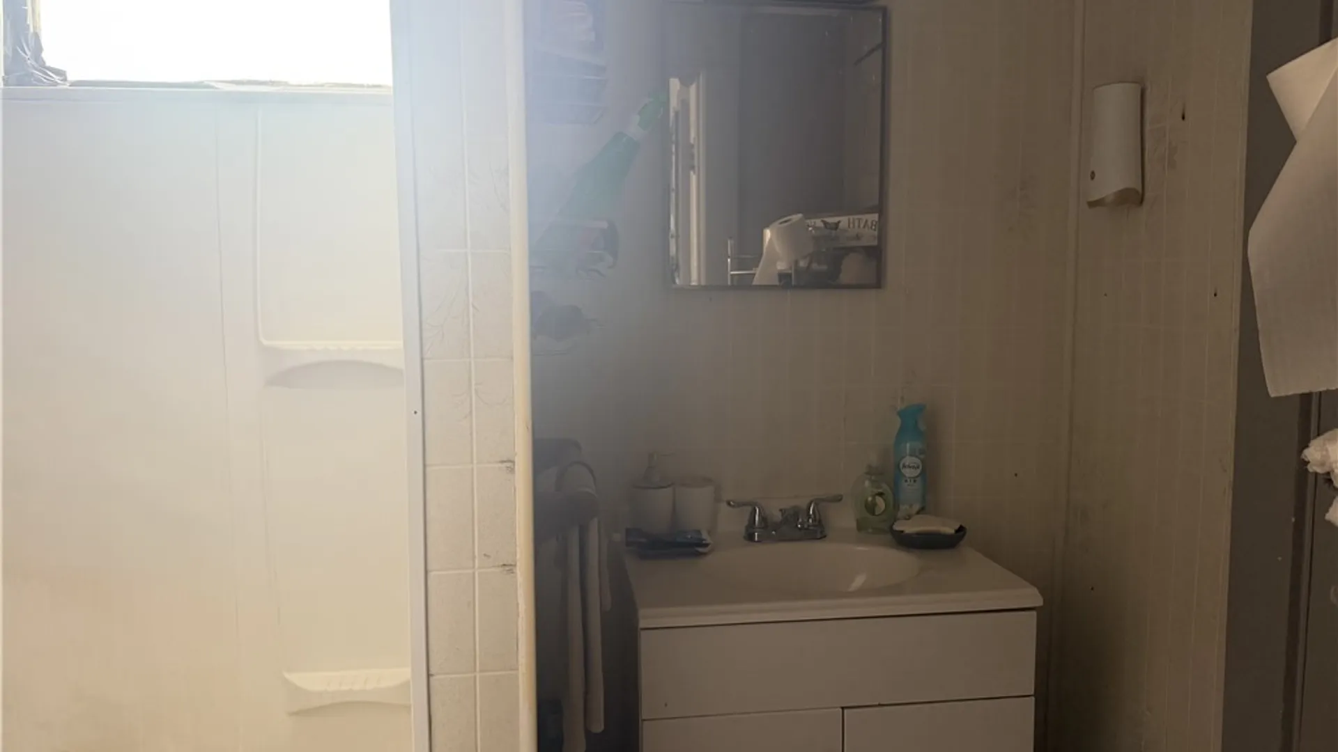 Property at 219 Stevens Avenue, Buffalo, NY 14215 11