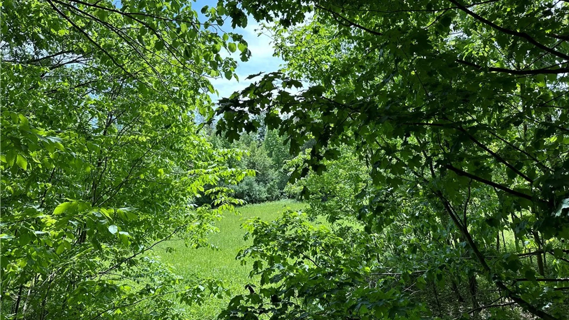 Property at 5867 Transit Road, Lancaster, NY 14043 3