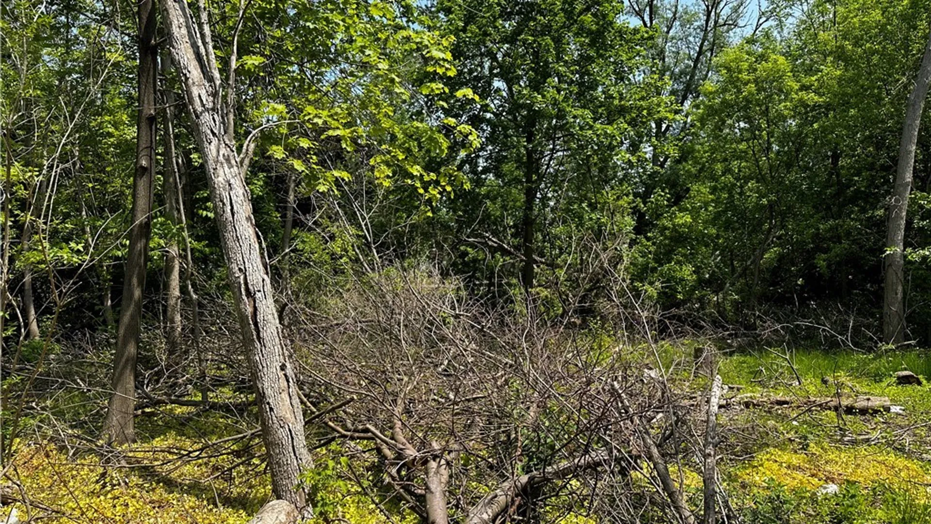 Property at 5867 Transit Road, Lancaster, NY 14043 5