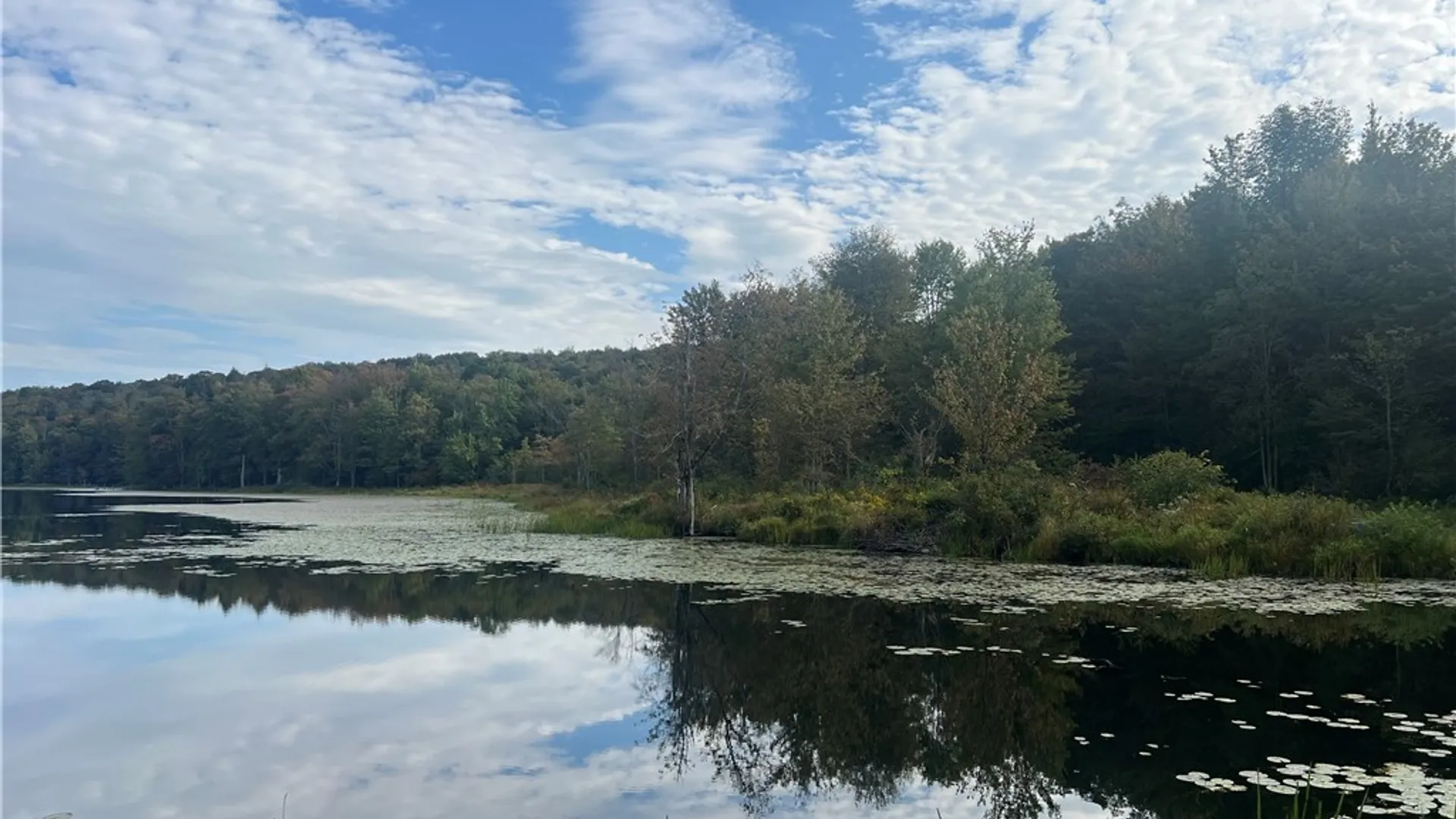 Property at Stramba Road, Freetown, NY 13040 10