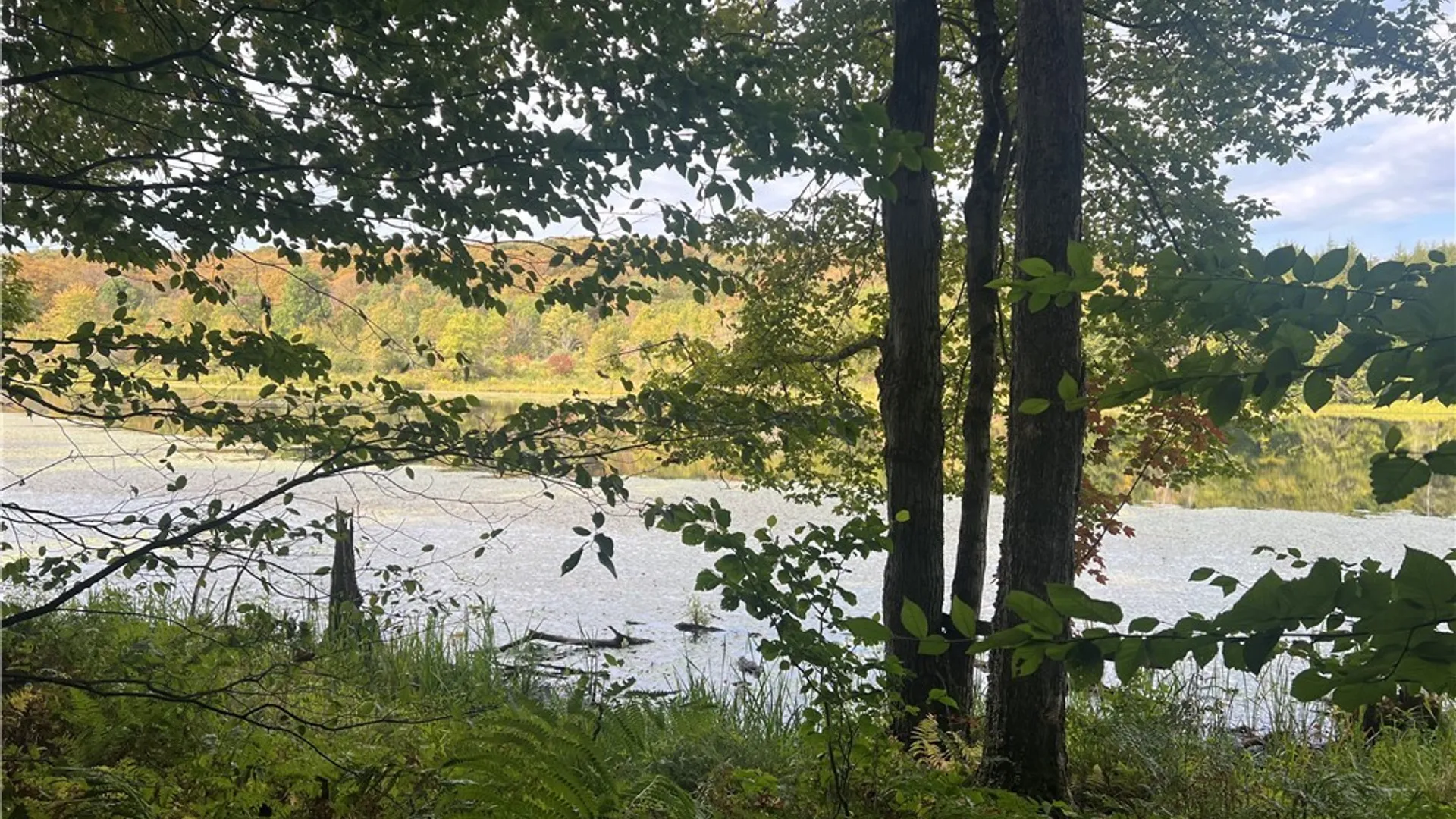 Property at Stramba Road, Freetown, NY 13040 14