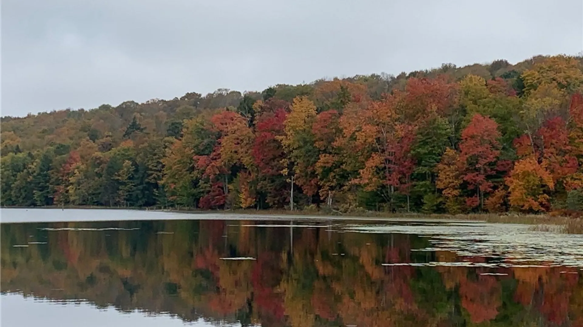 Property at Stramba Road, Freetown, NY 13040 16