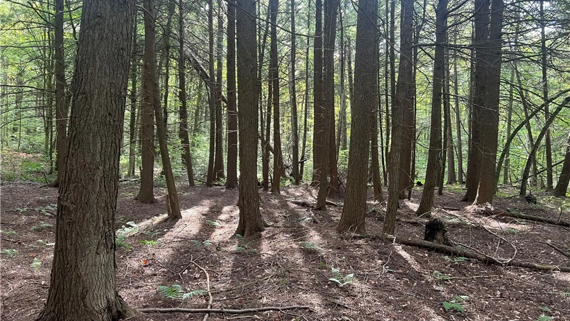 Property at Stramba Road, Freetown, NY 13040 18