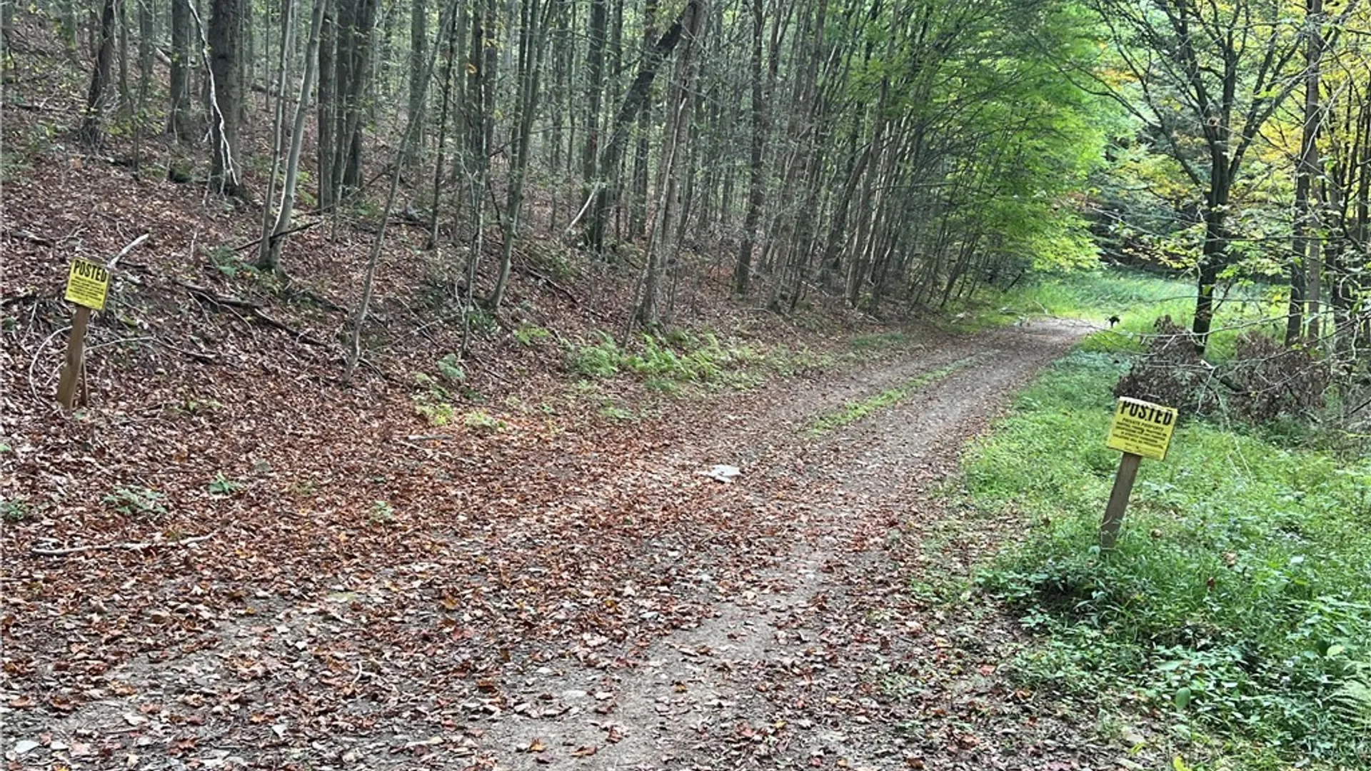 Property at Stramba Road, Freetown, NY 13040 2