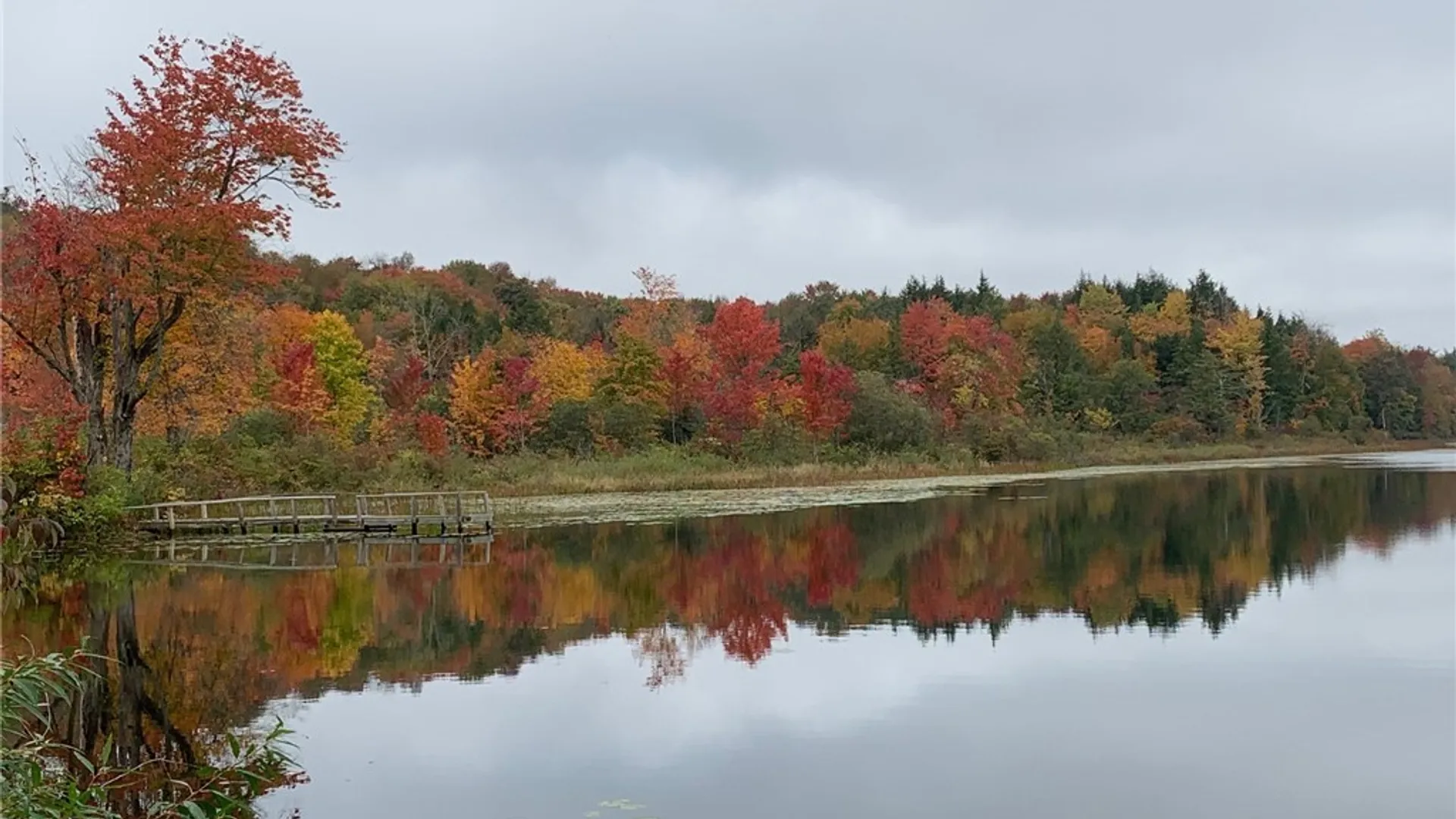 Property at Stramba Road, Freetown, NY 13040 20