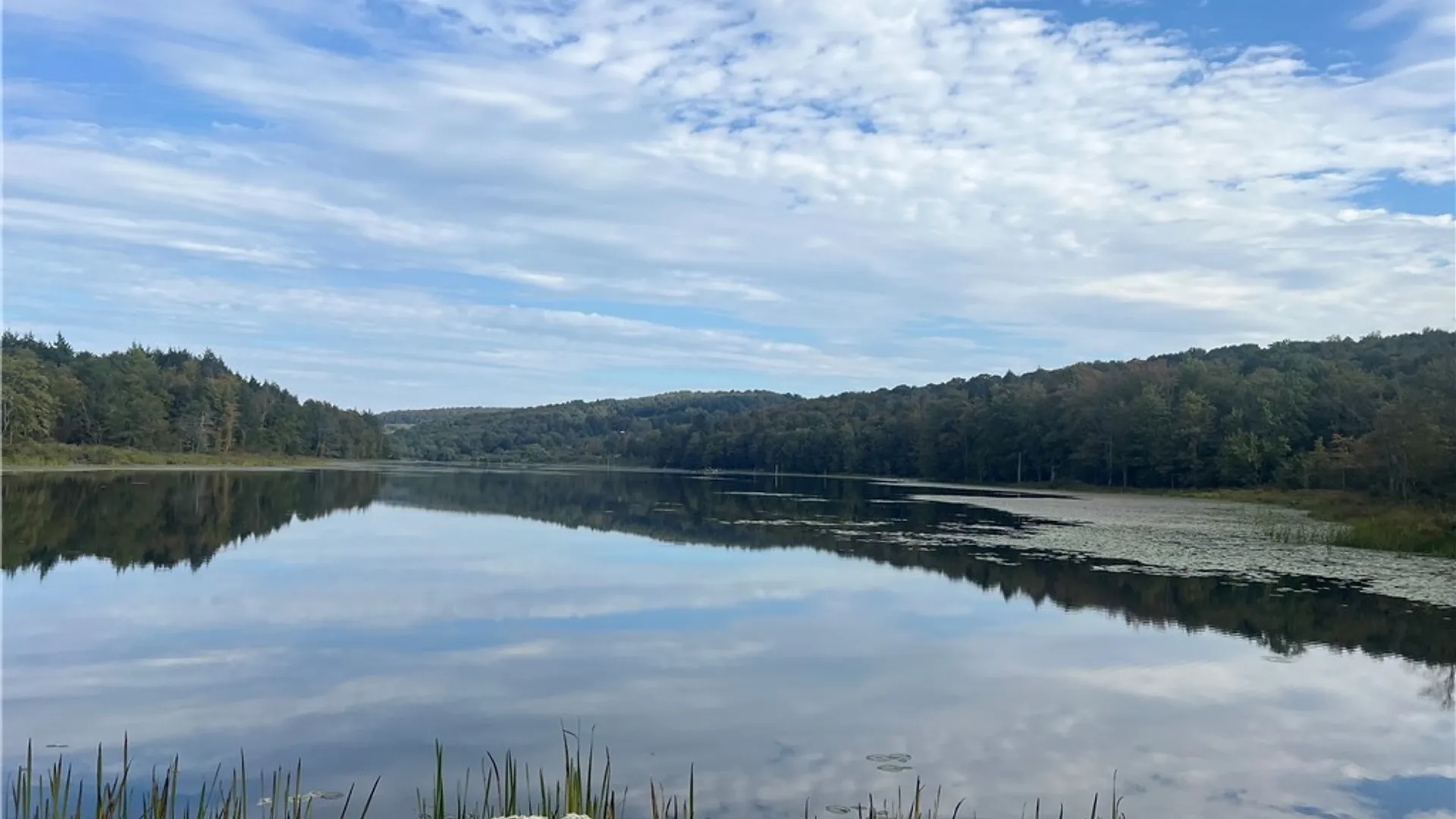 Property at Stramba Road, Freetown, NY 13040 4