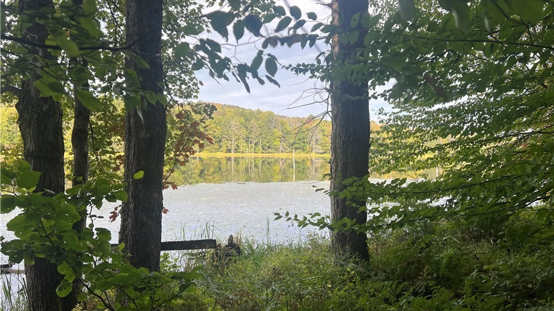 Property at Stramba Road, Freetown, NY 13040 7