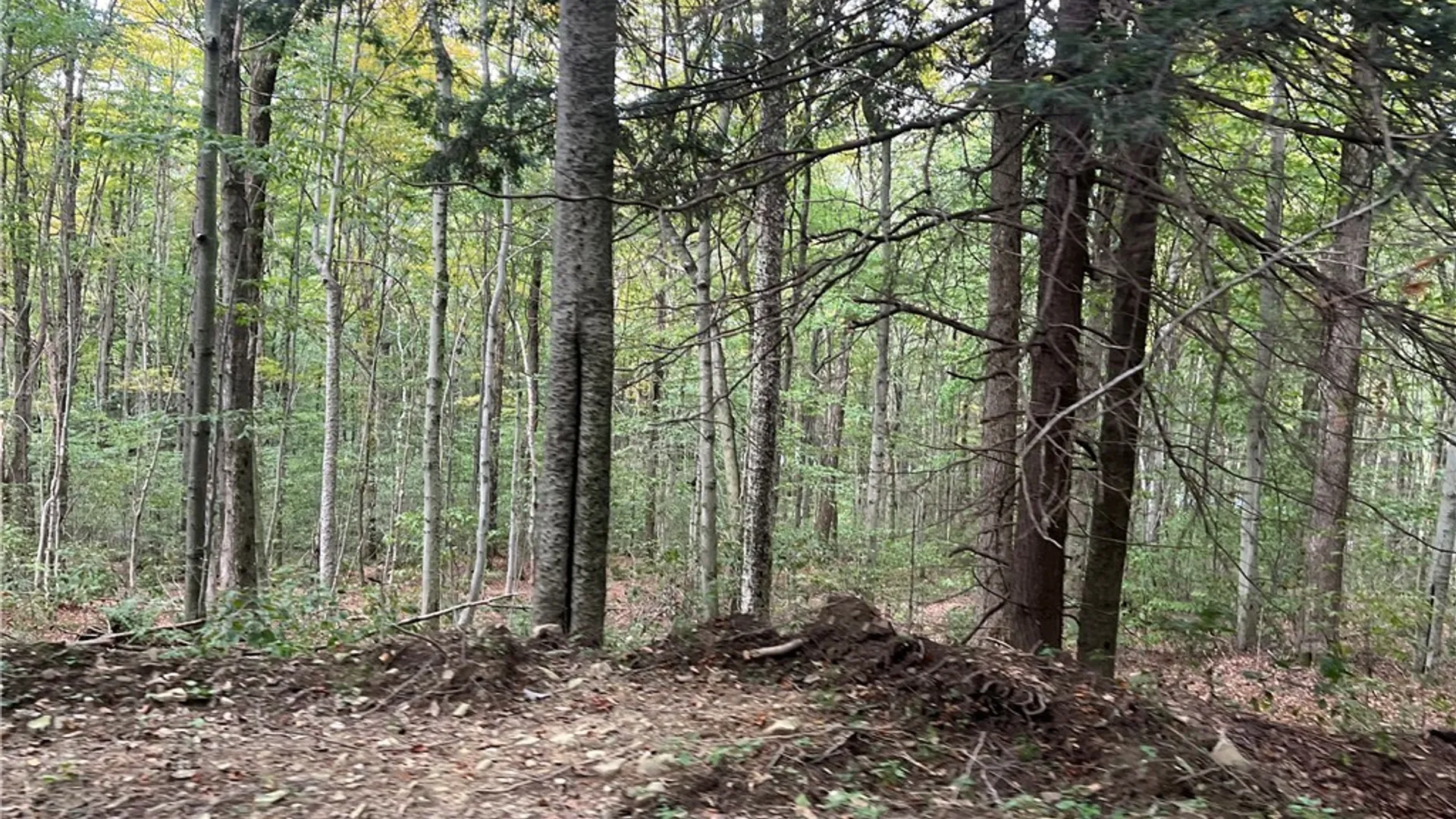 Property at Stramba Road, Freetown, NY 13040 8