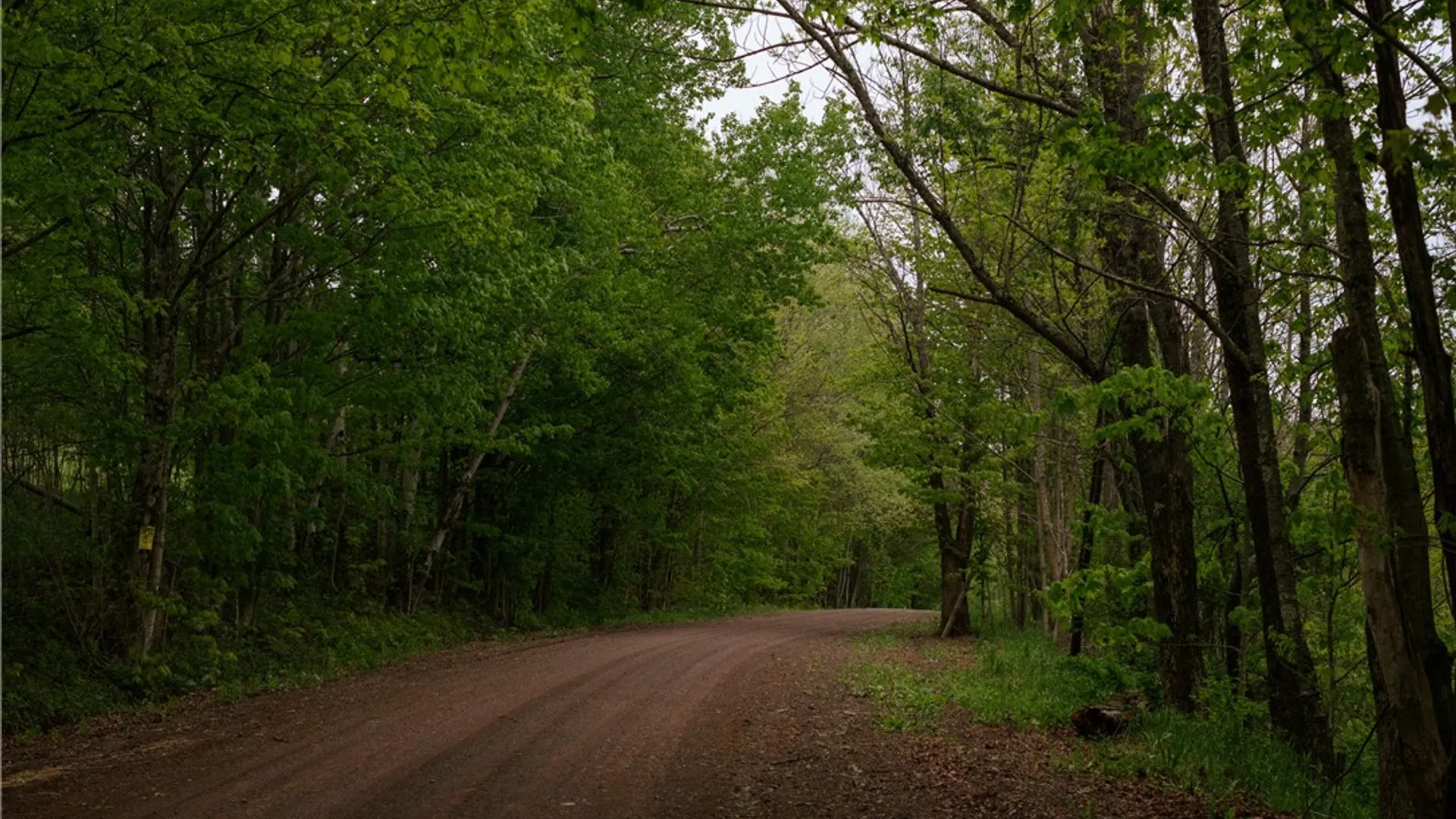 Property at 2400 Gladstone Hollow Road, Andes, NY 13731 31