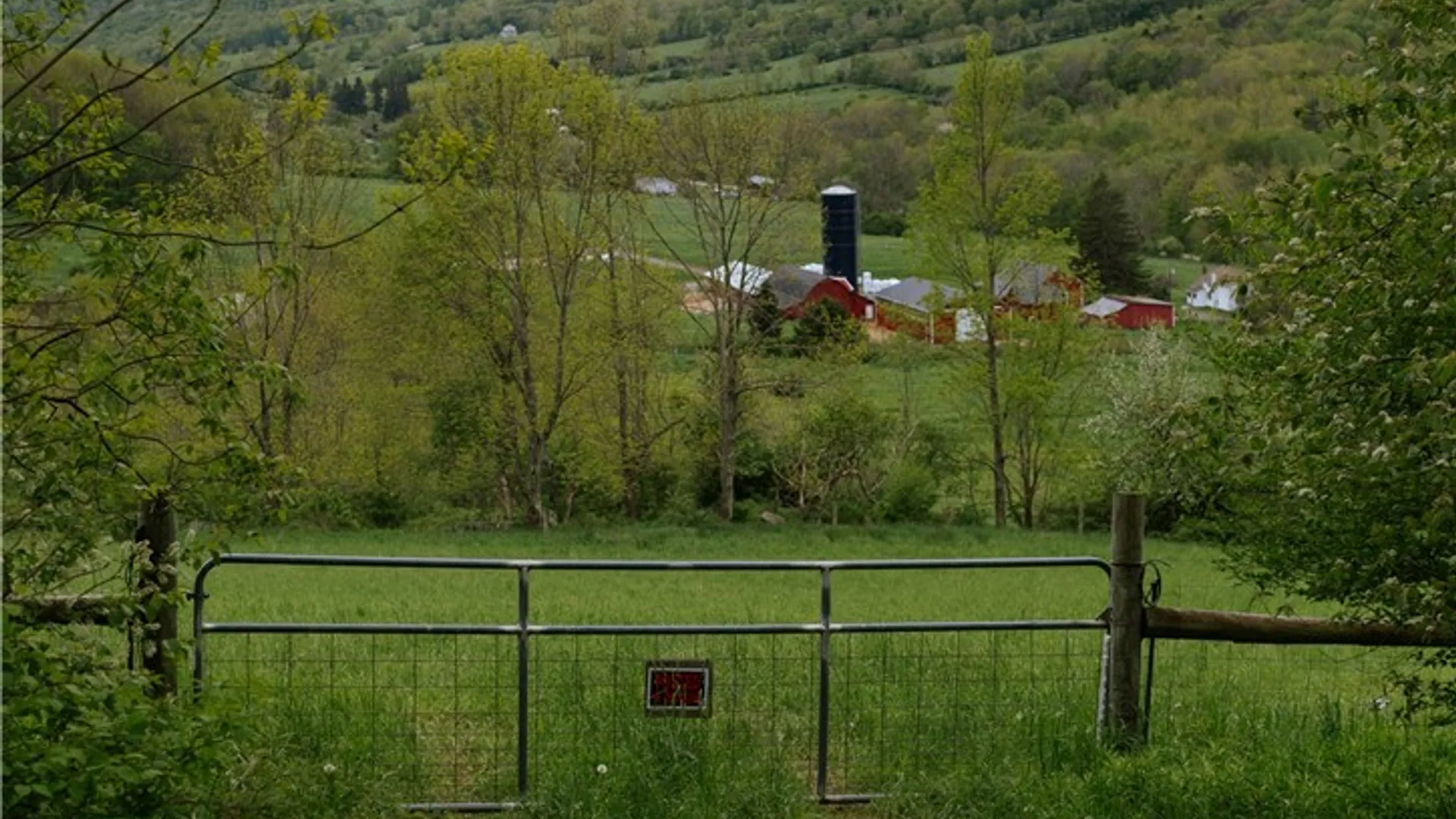 Property at 2400 Gladstone Hollow Road, Andes, NY 13731 32