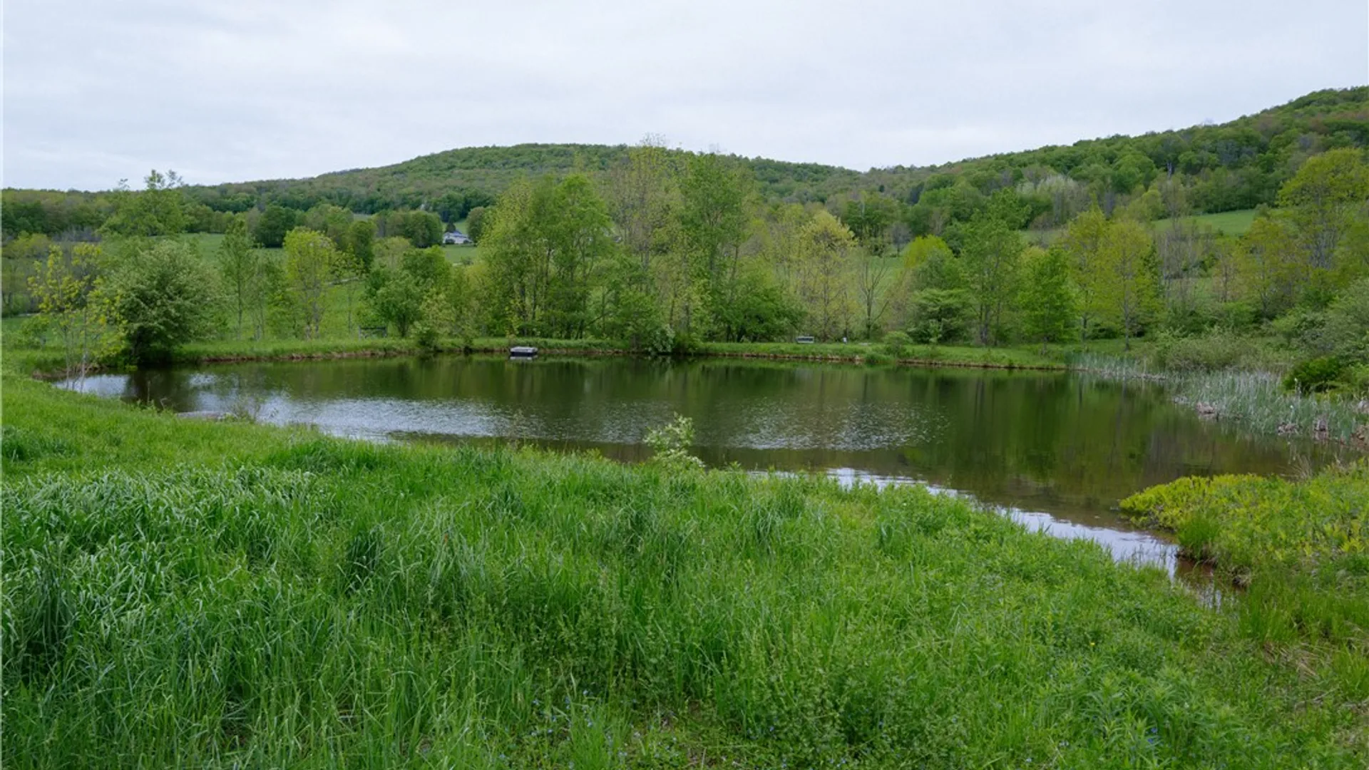 Property at 2400 Gladstone Hollow Road, Andes, NY 13731 38