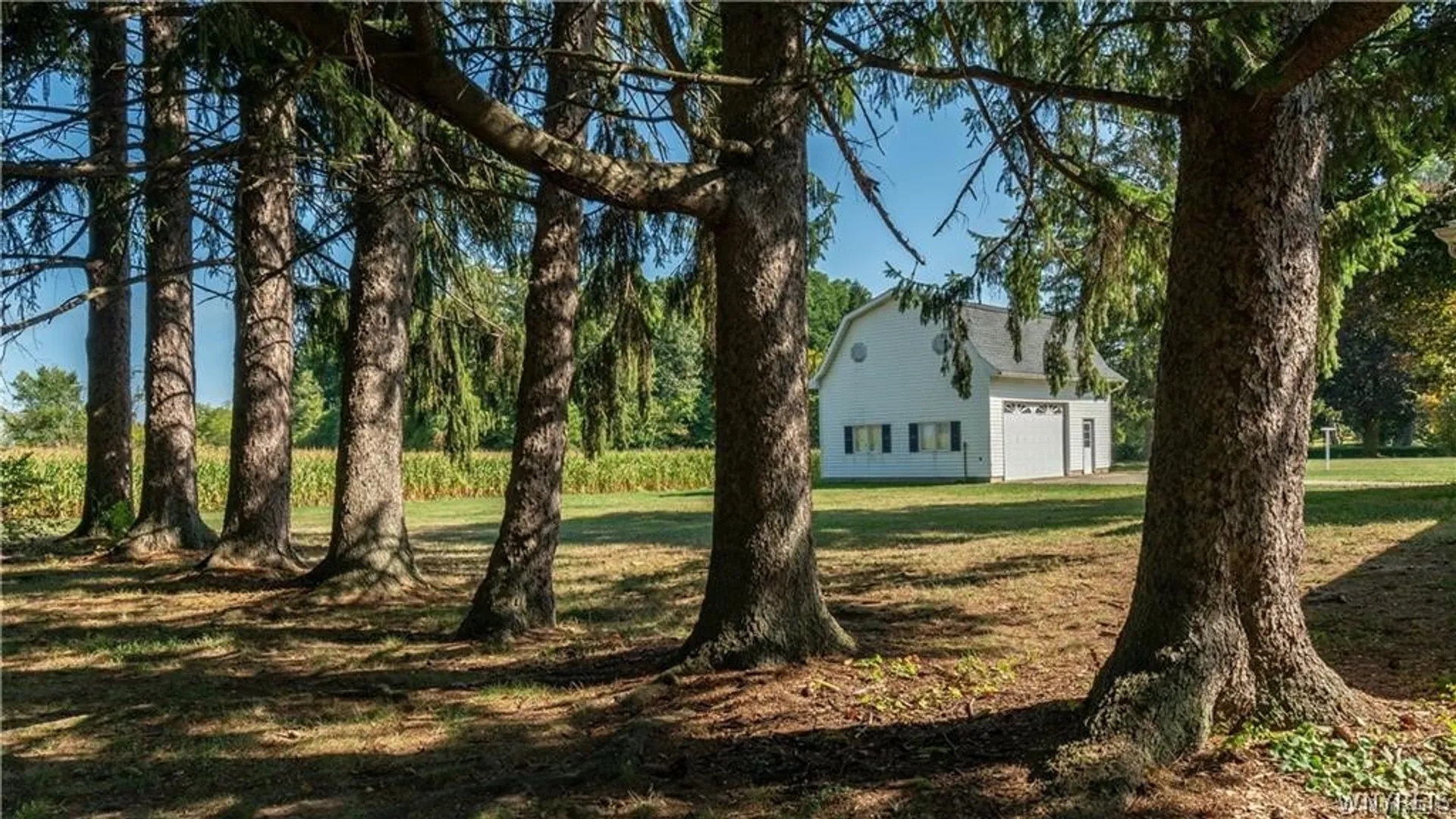 Property at 2084 Richardson Road, Collins, NY 14034 39