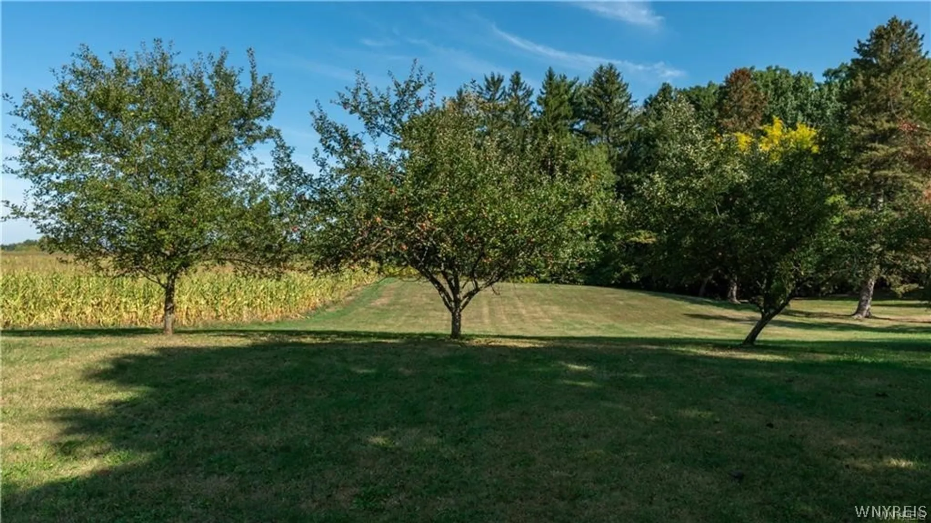 Property at 2084 Richardson Road, Collins, NY 14034 40