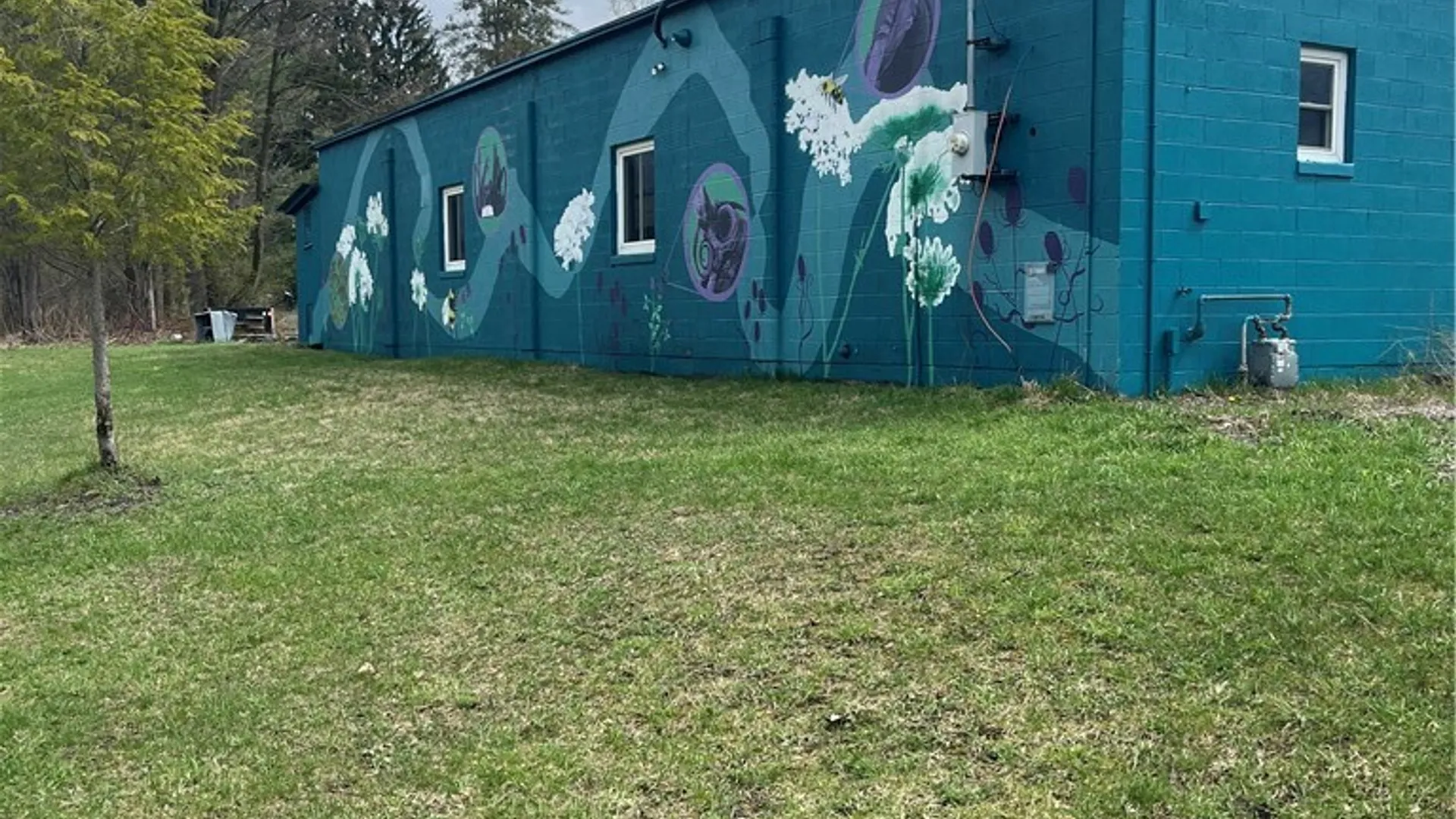 Property at 303 Franklin Street, Concord, NY 14141 5