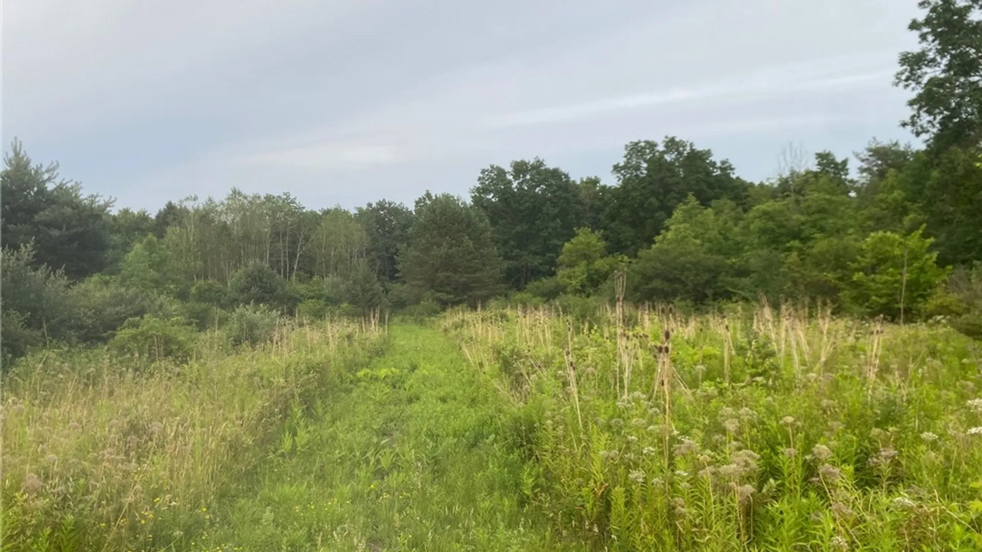 Property at 4206 County Road 29, Reading, NY 14878 6