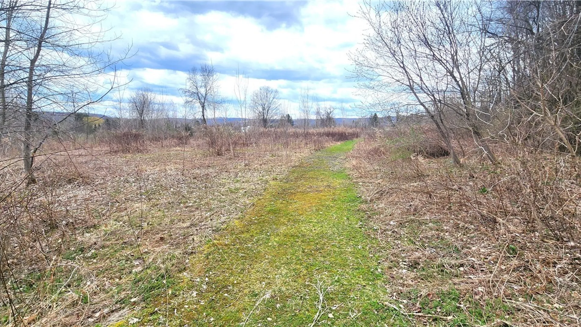 Property at 3665 Hedgemoor Drive, Cortlandville, NY 13045 10