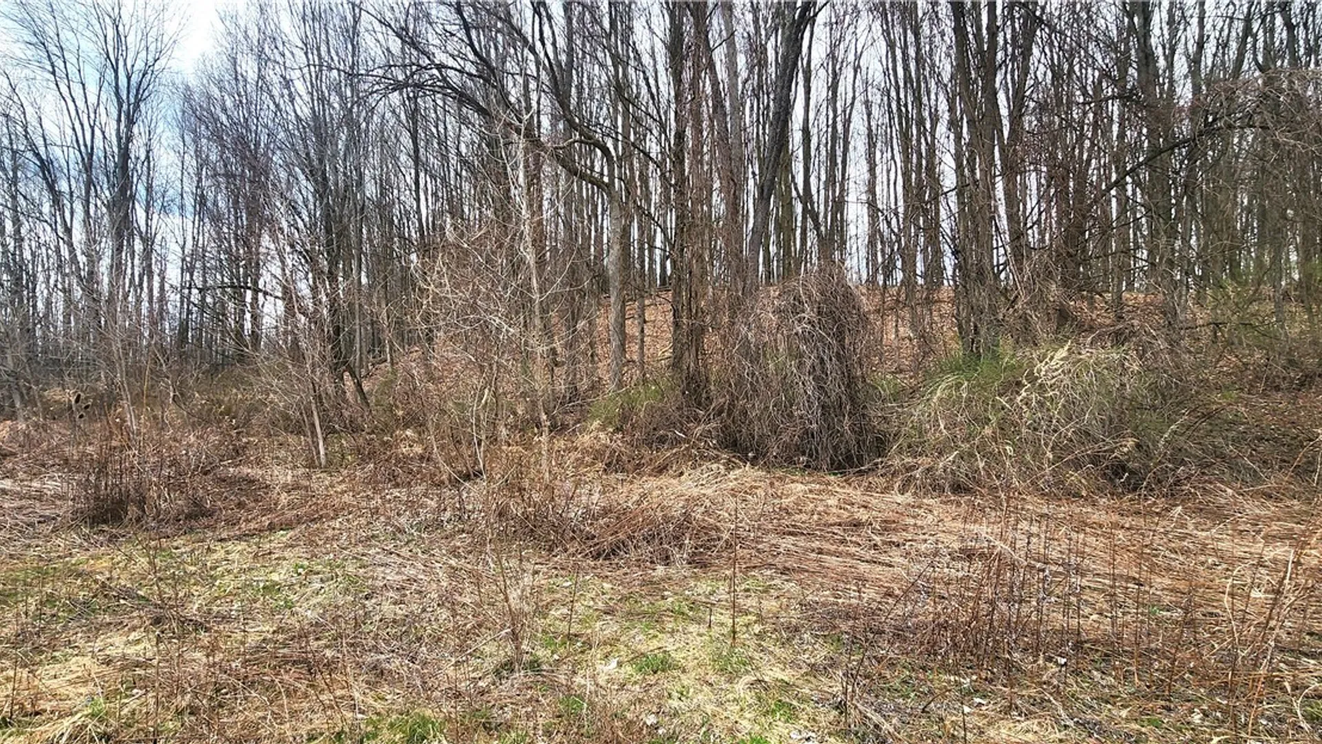 Property at 3665 Hedgemoor Drive, Cortlandville, NY 13045 11