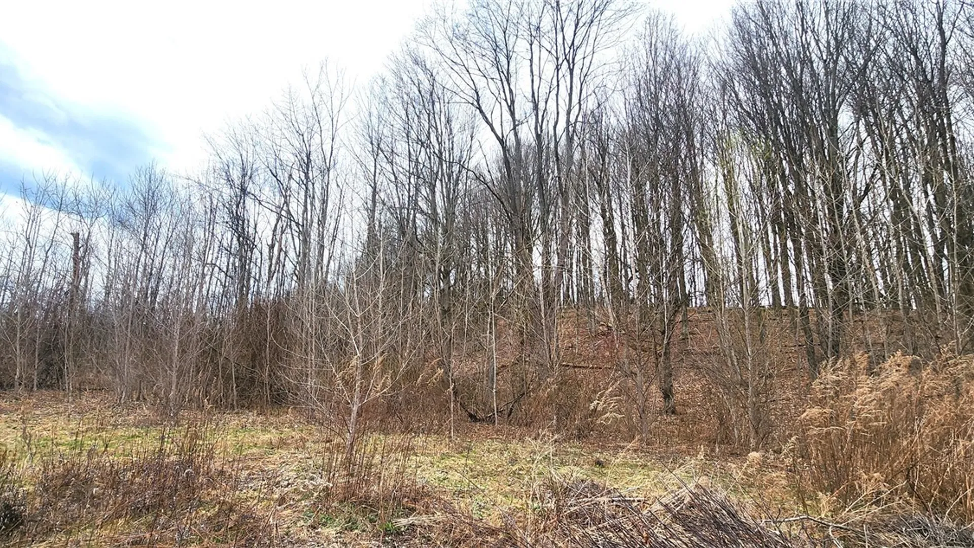 Property at 3665 Hedgemoor Drive, Cortlandville, NY 13045 12